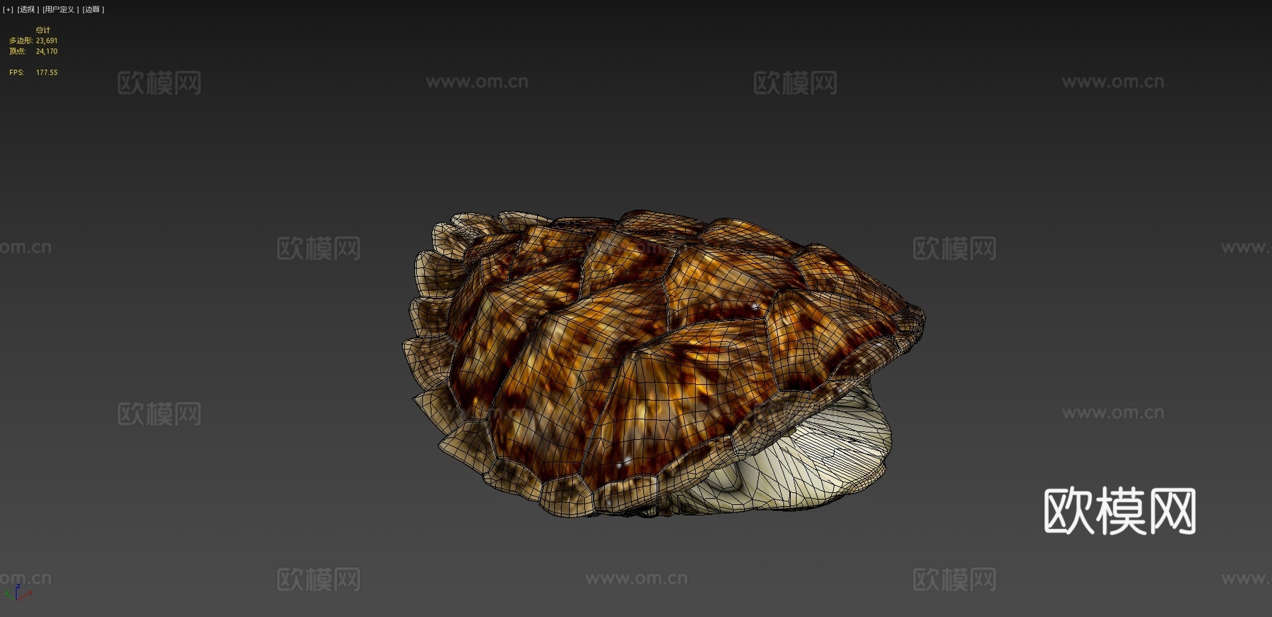 玳瑁海龟♂3d模型