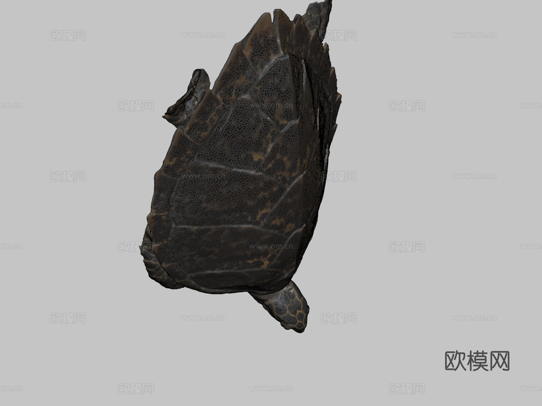 玳瑁海龟3d模型