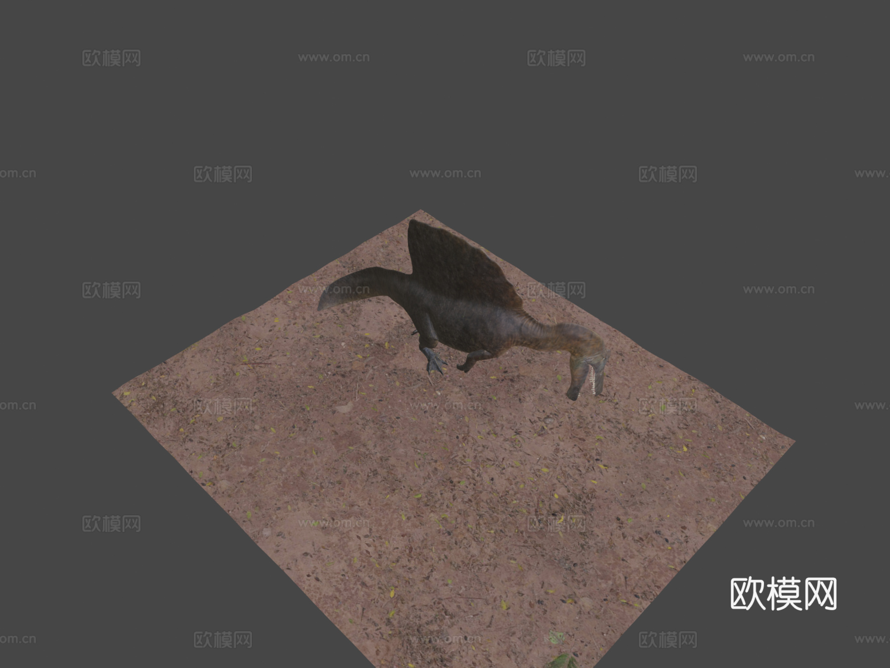 游泳棘龙3d模型