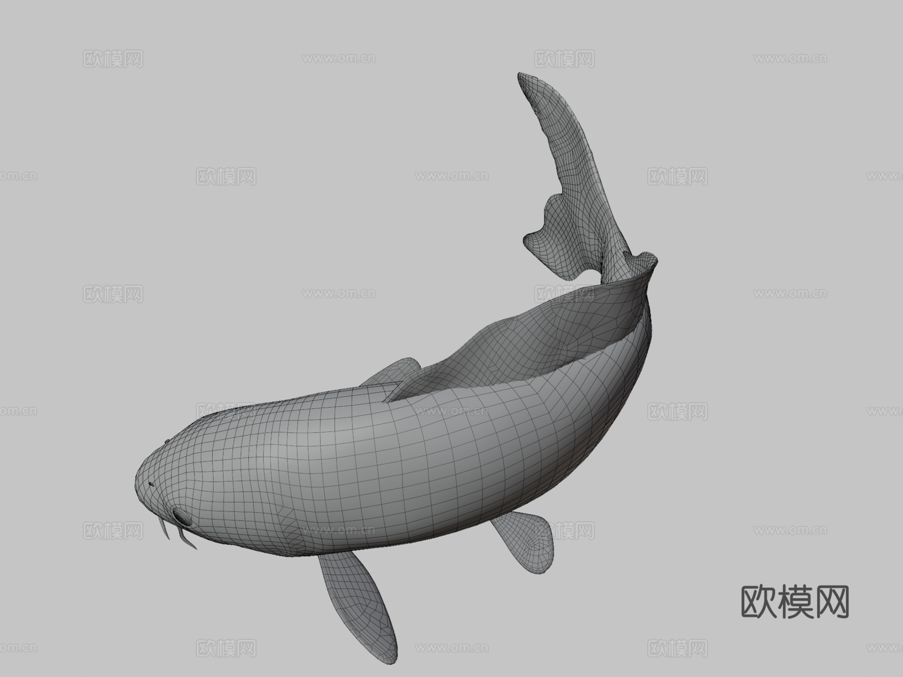 锦鲤3d模型