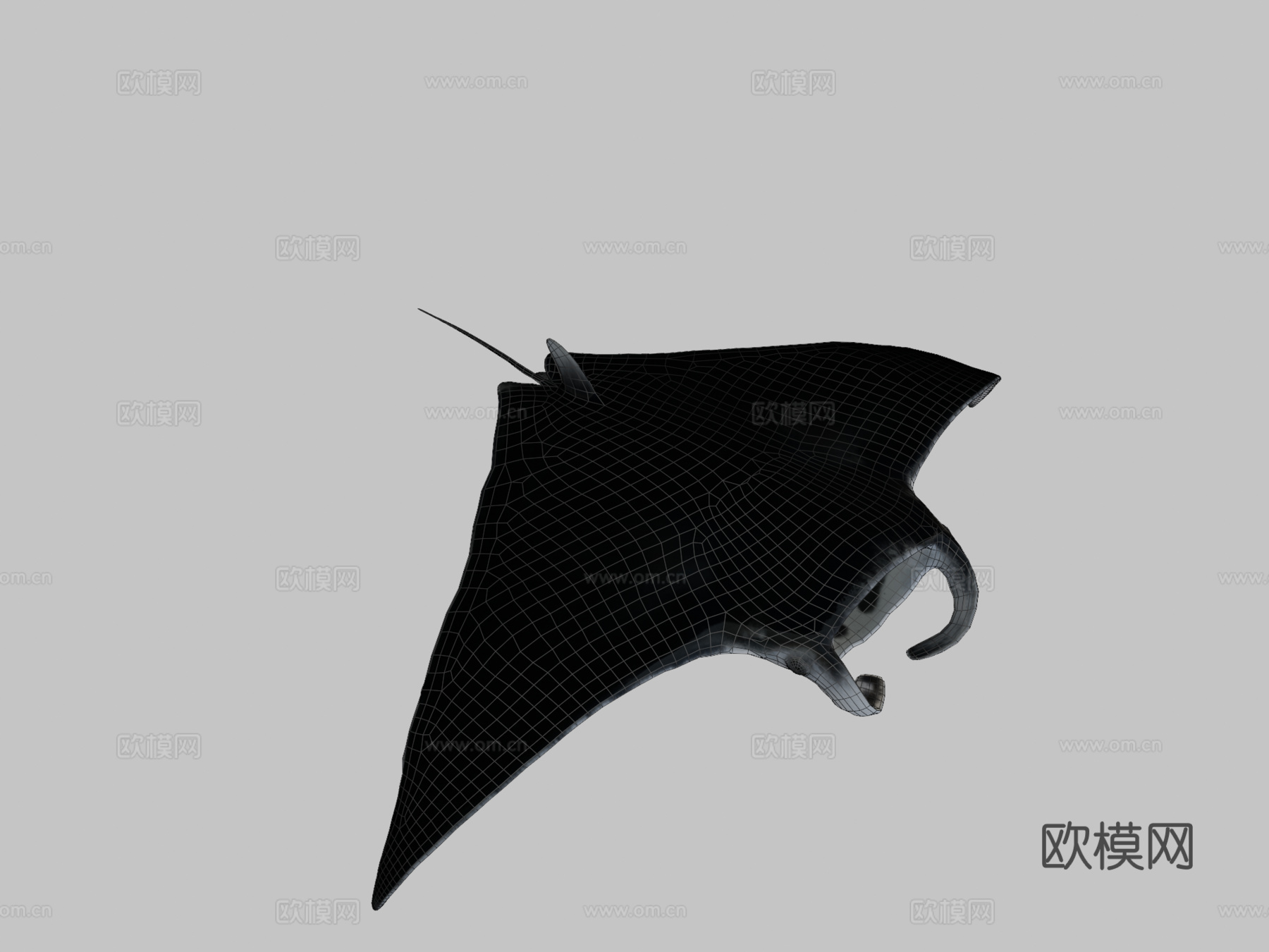 魔鬼鱼3d模型
