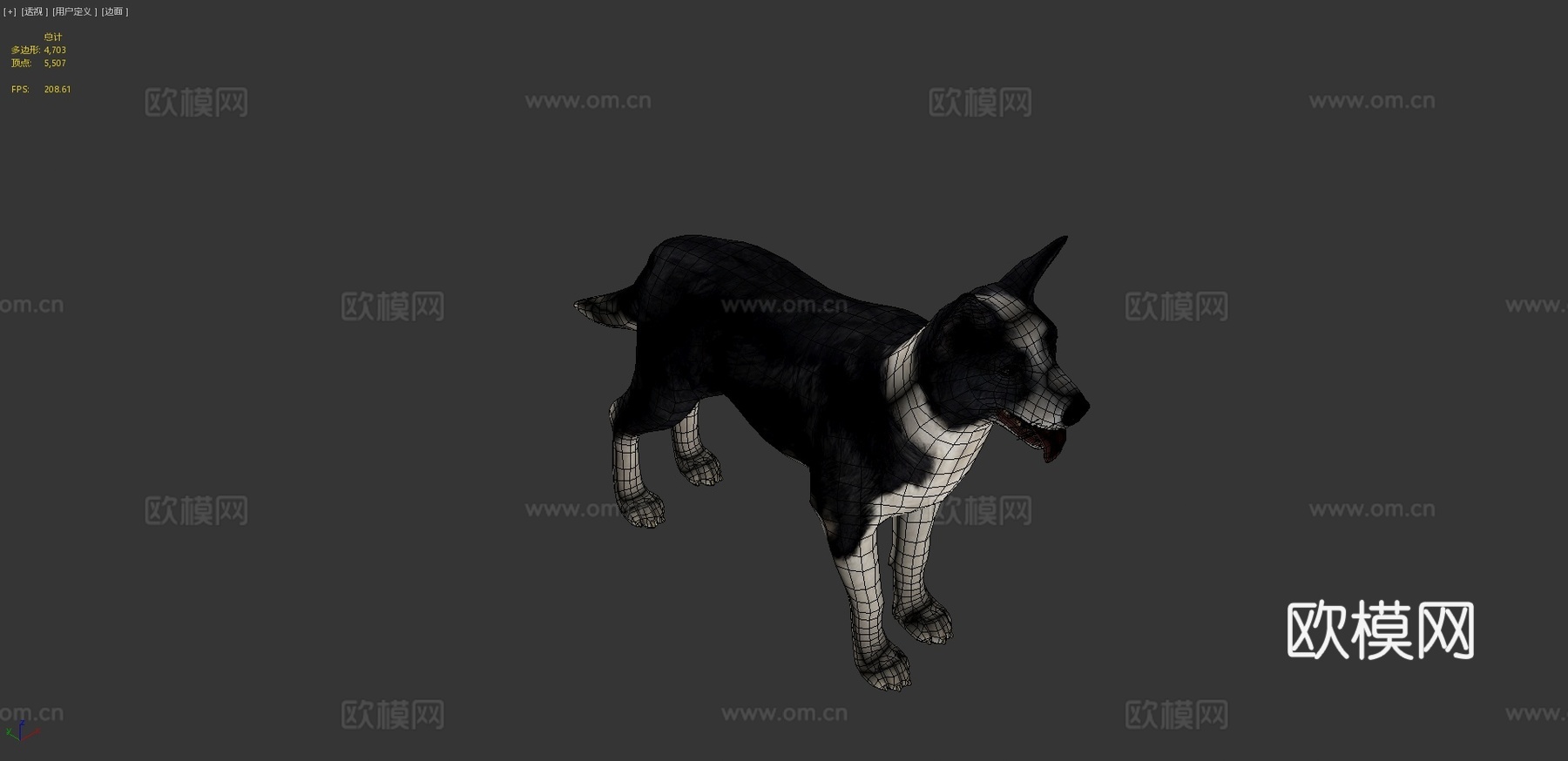 狗-边境牧羊犬3d模型