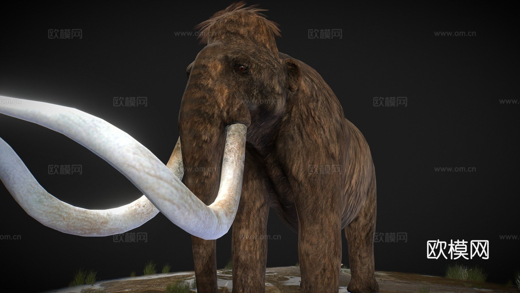 猛犸象3d模型