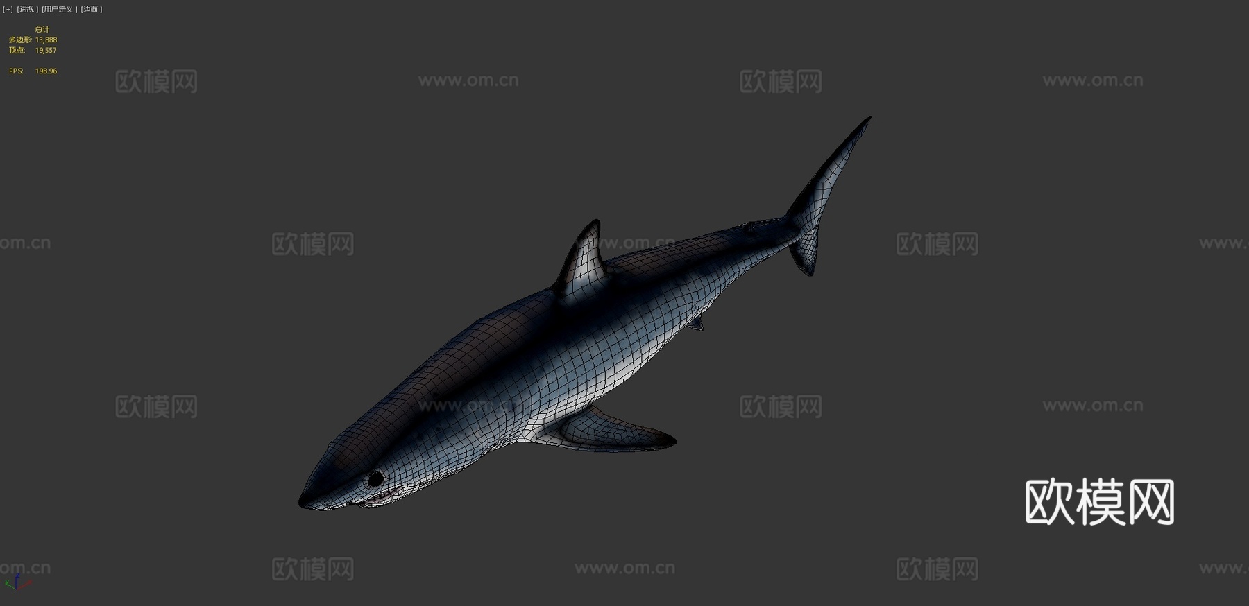 A型-短鳍灰鲭鲨3d模型
