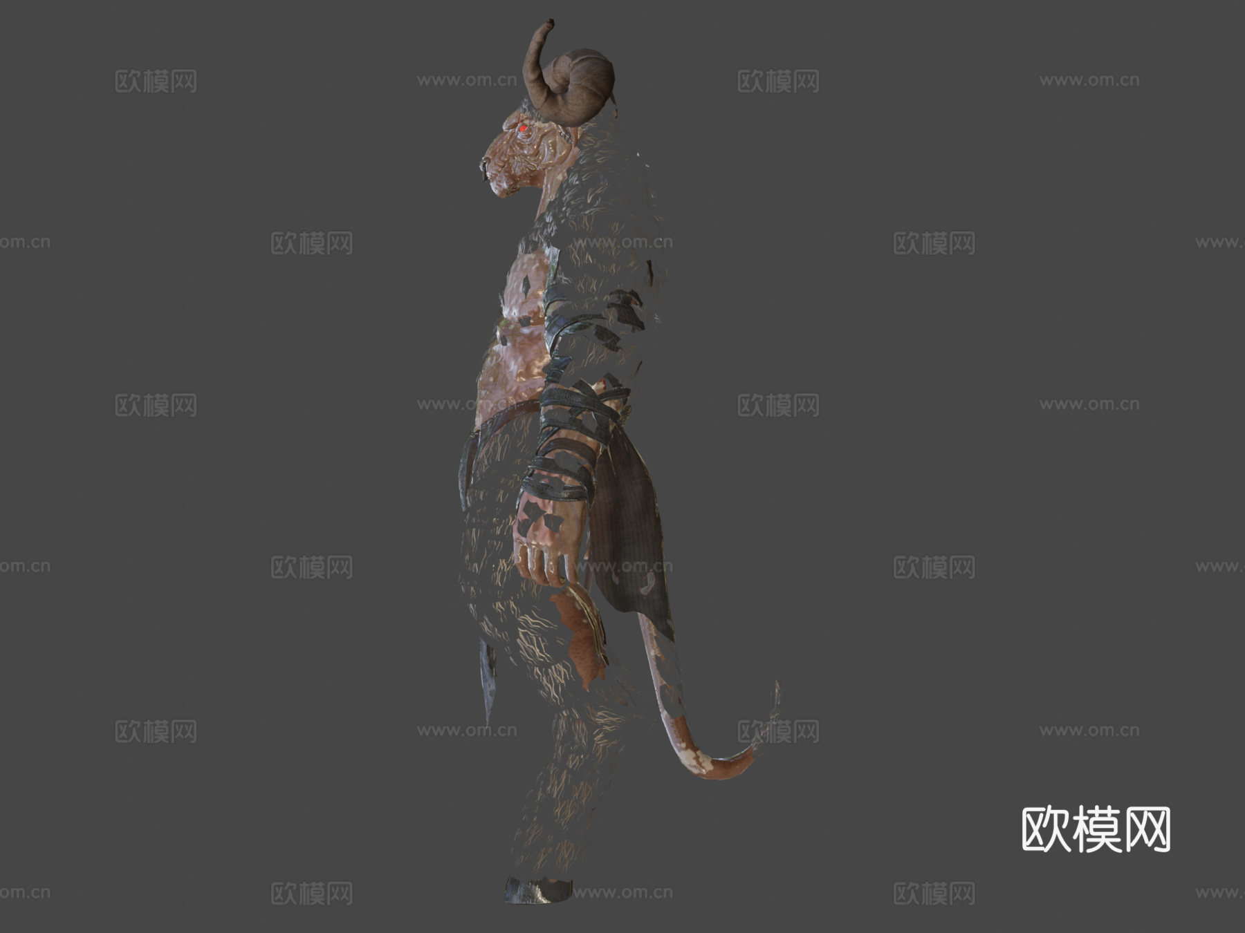牛头山羊生物3d模型