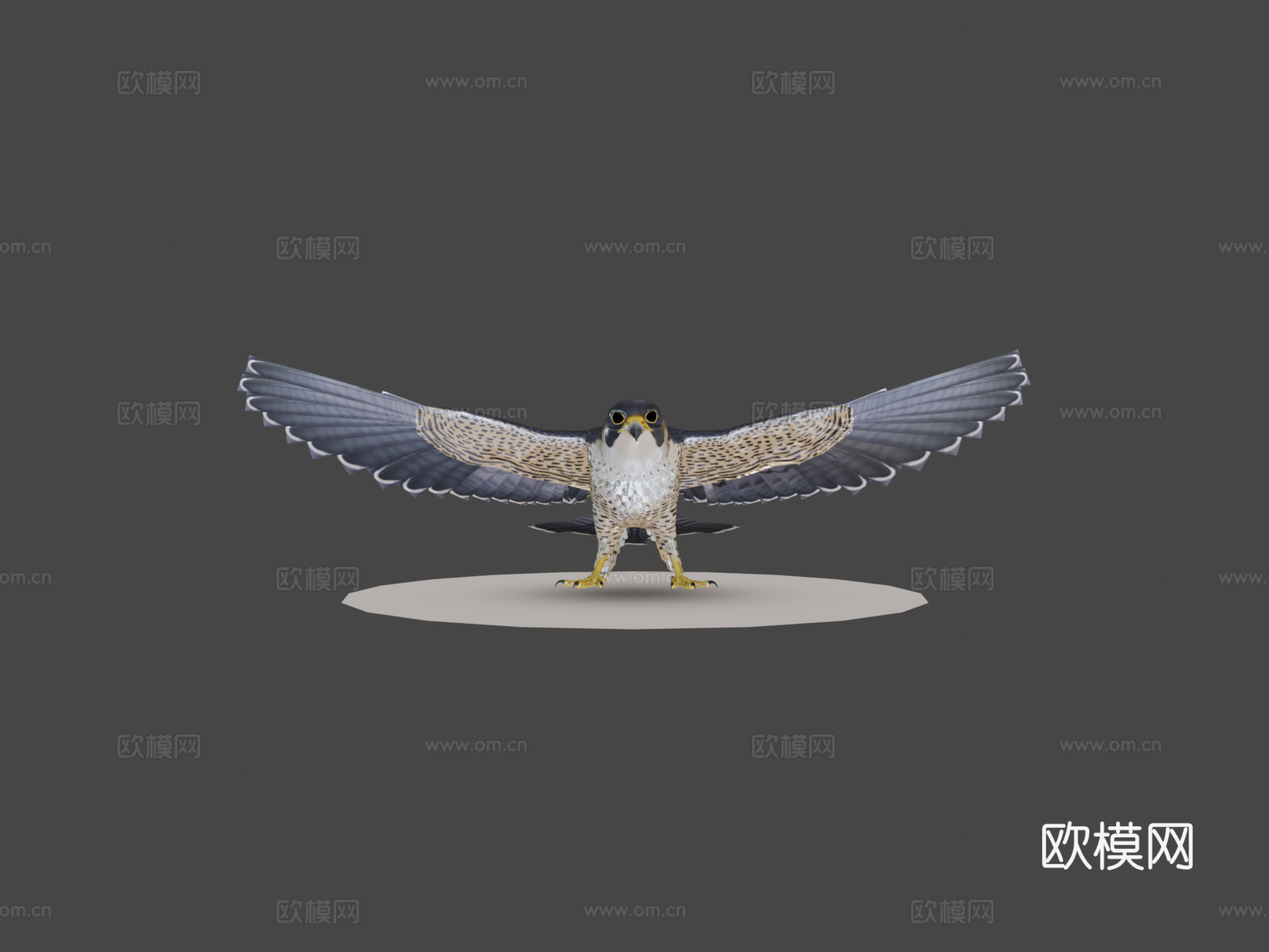 游隼3d模型
