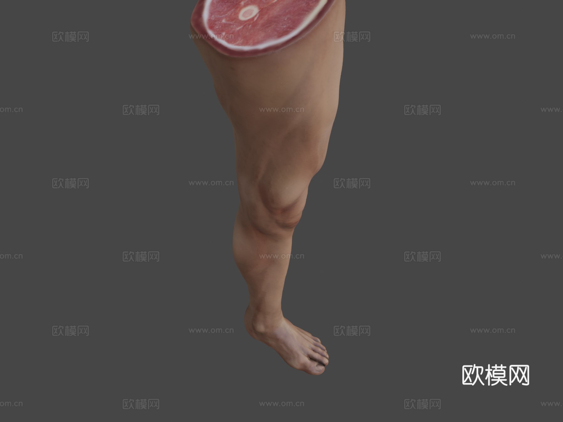 腿3d模型