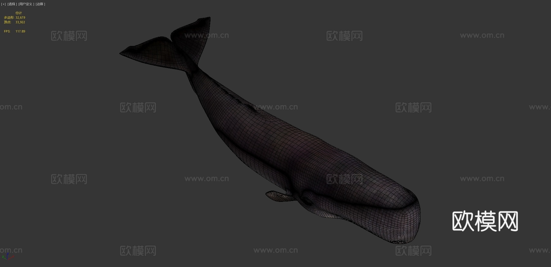 抹香鲸(Physeter Macrocephalous)-精3d模型
