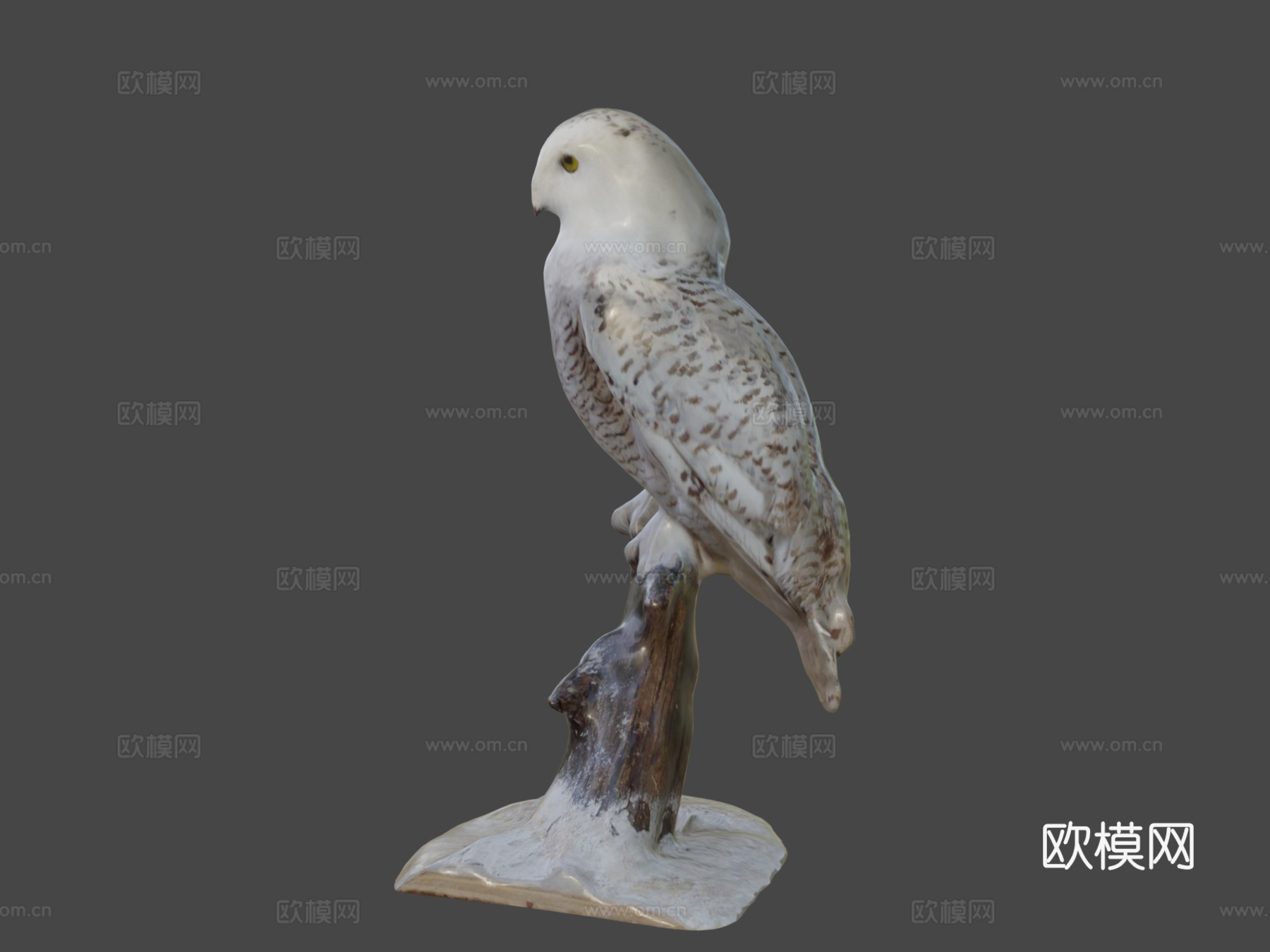 雪鸮3d模型