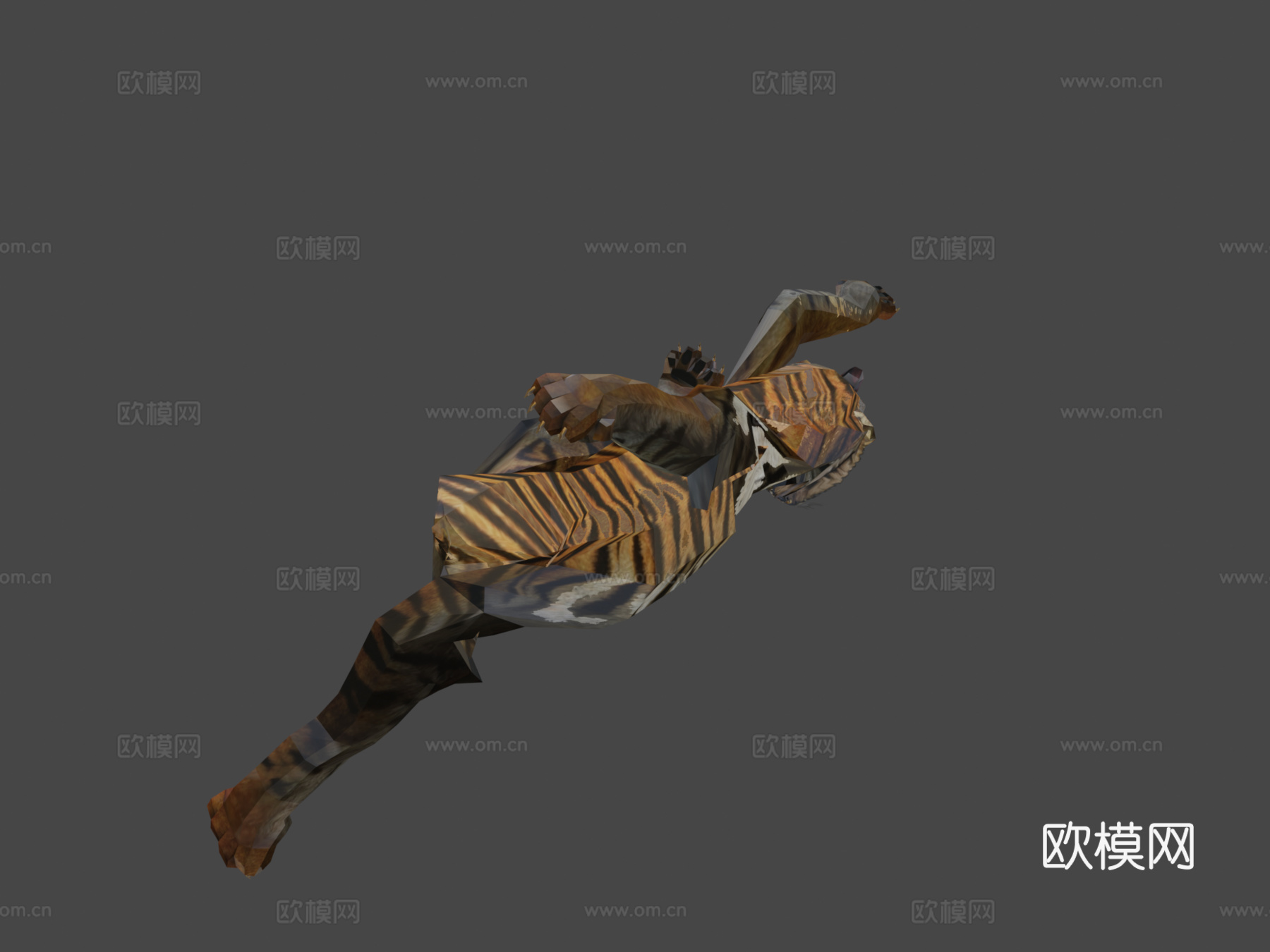 老虎3d模型