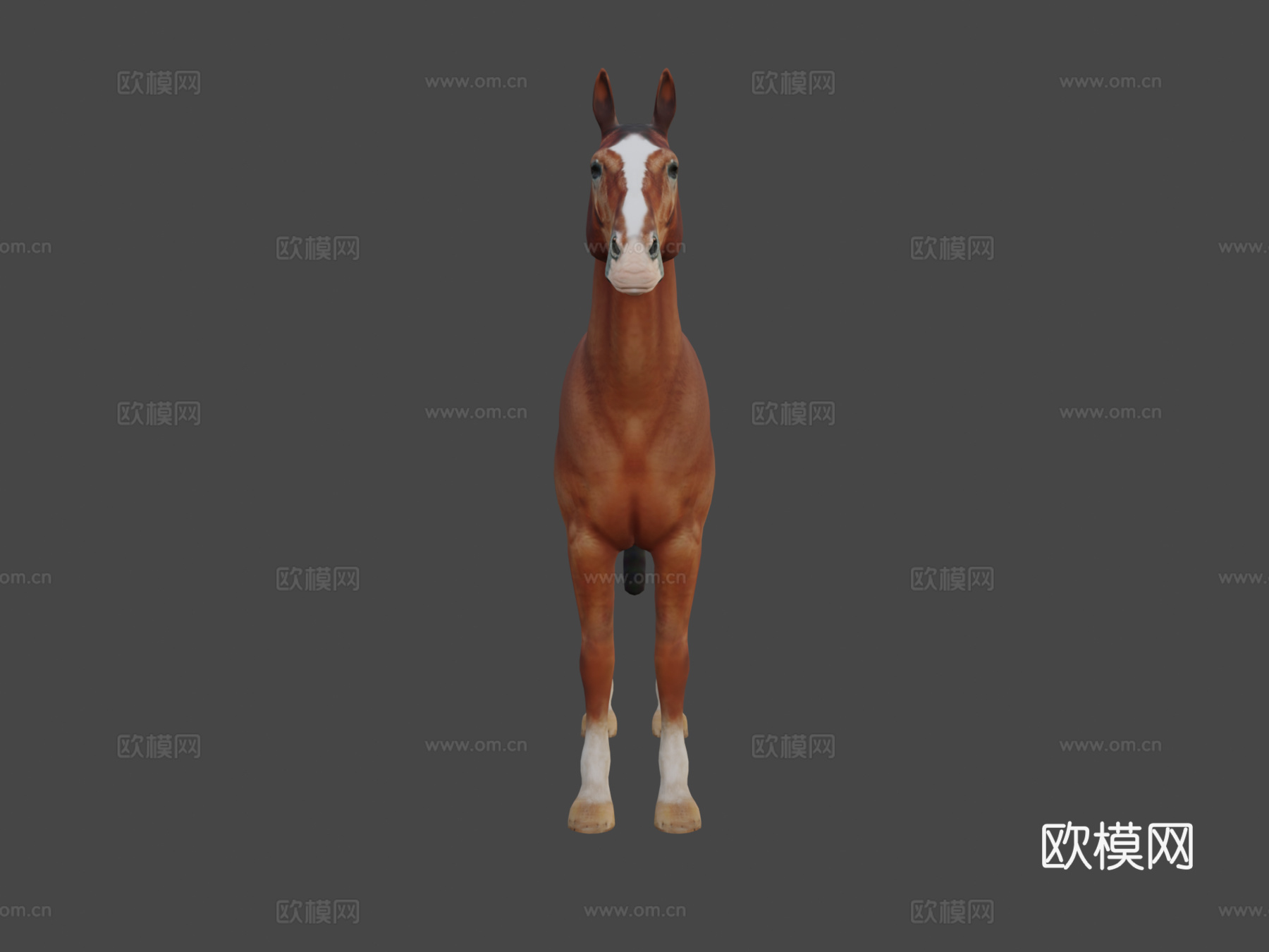 马基础网格3d模型