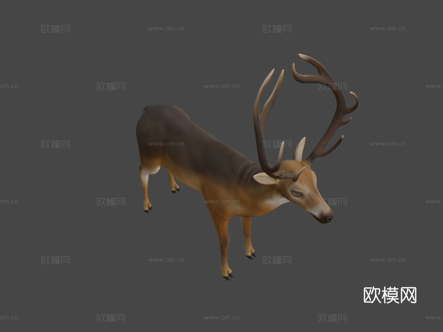 鹿全身3d模型