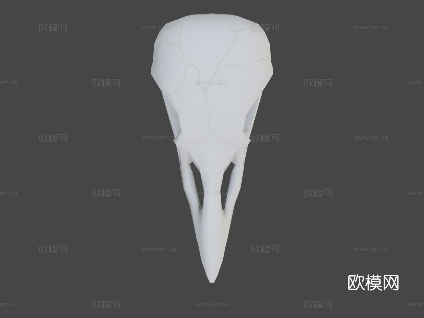 渡鸦头骨3d模型