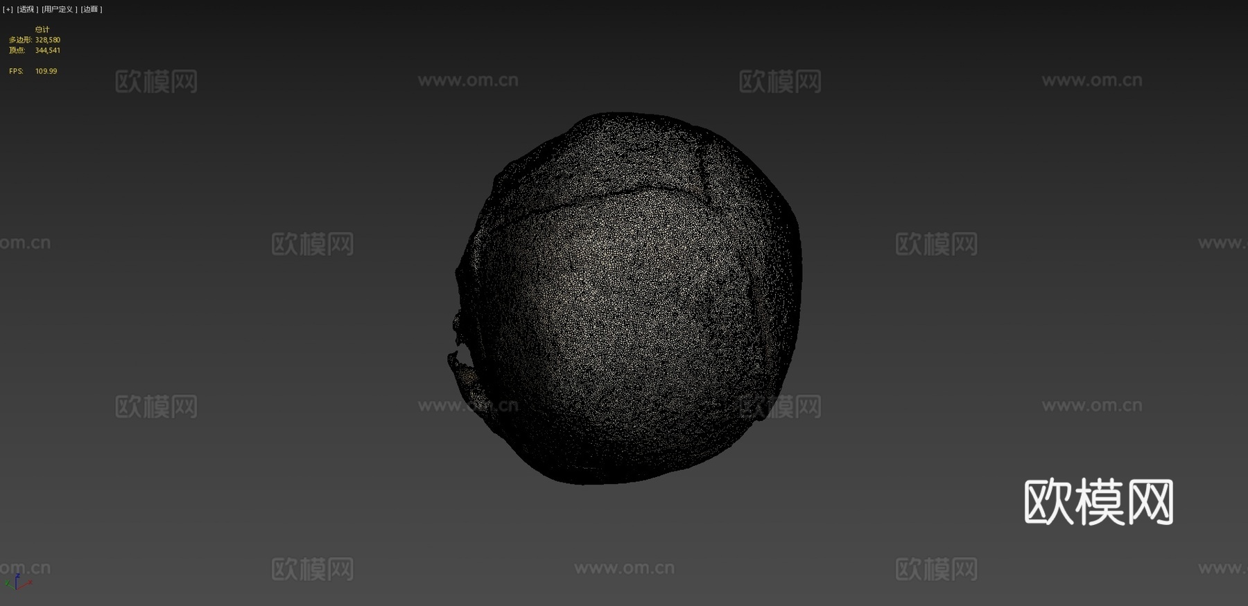 人类胎儿头骨3d模型