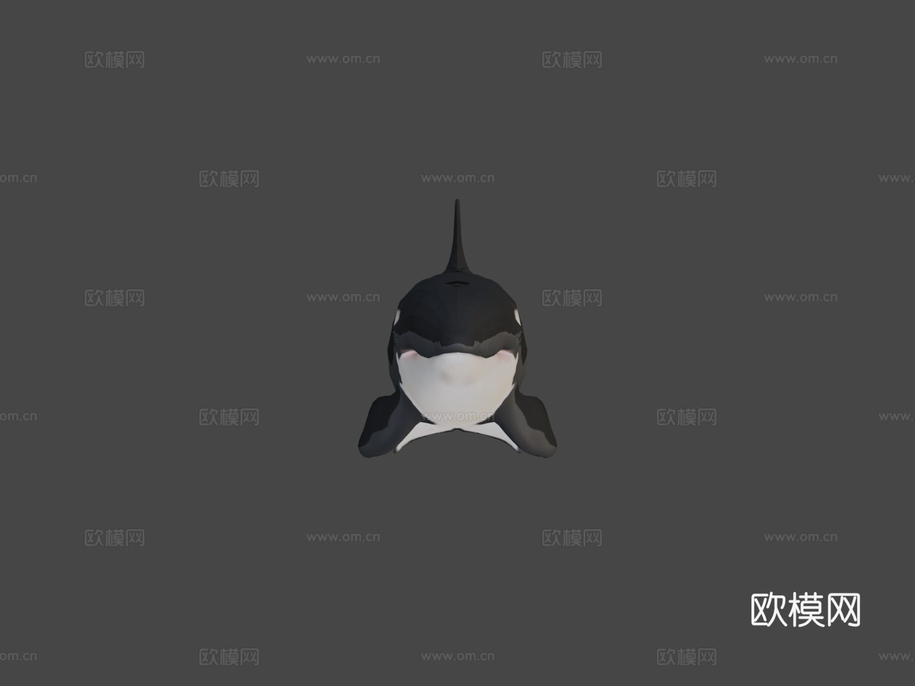 雌性虎鲸3d模型