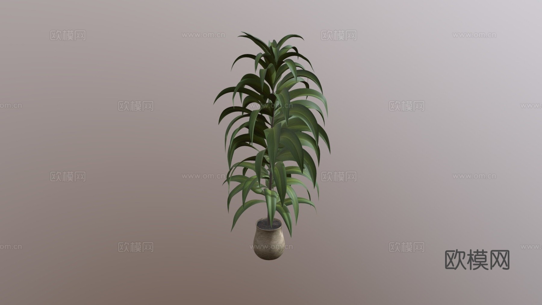 植物3d模型