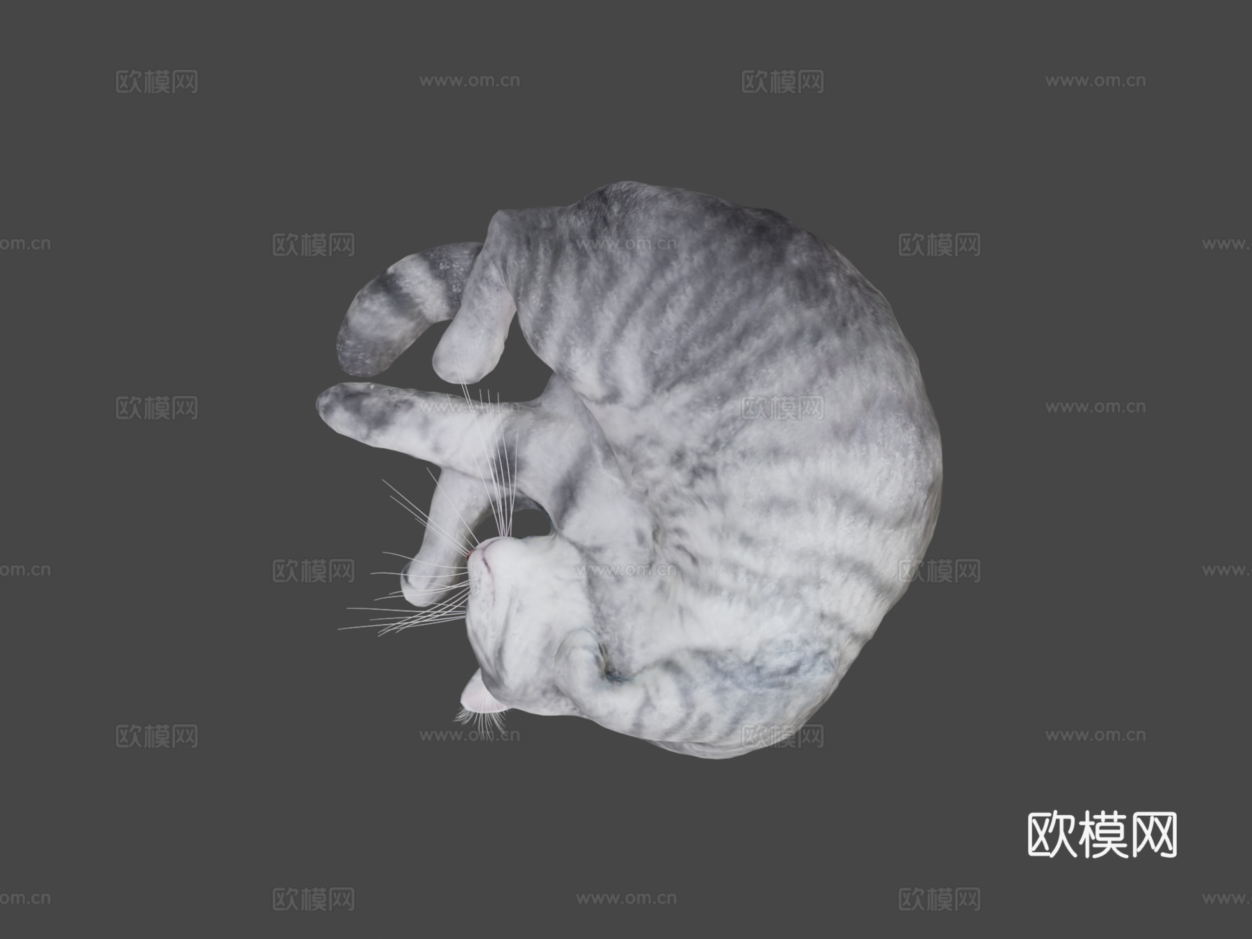 睡猫3d模型