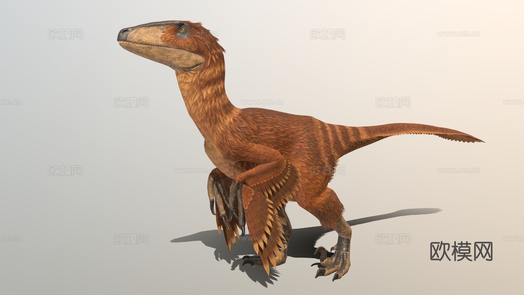 恐爪龙3d模型