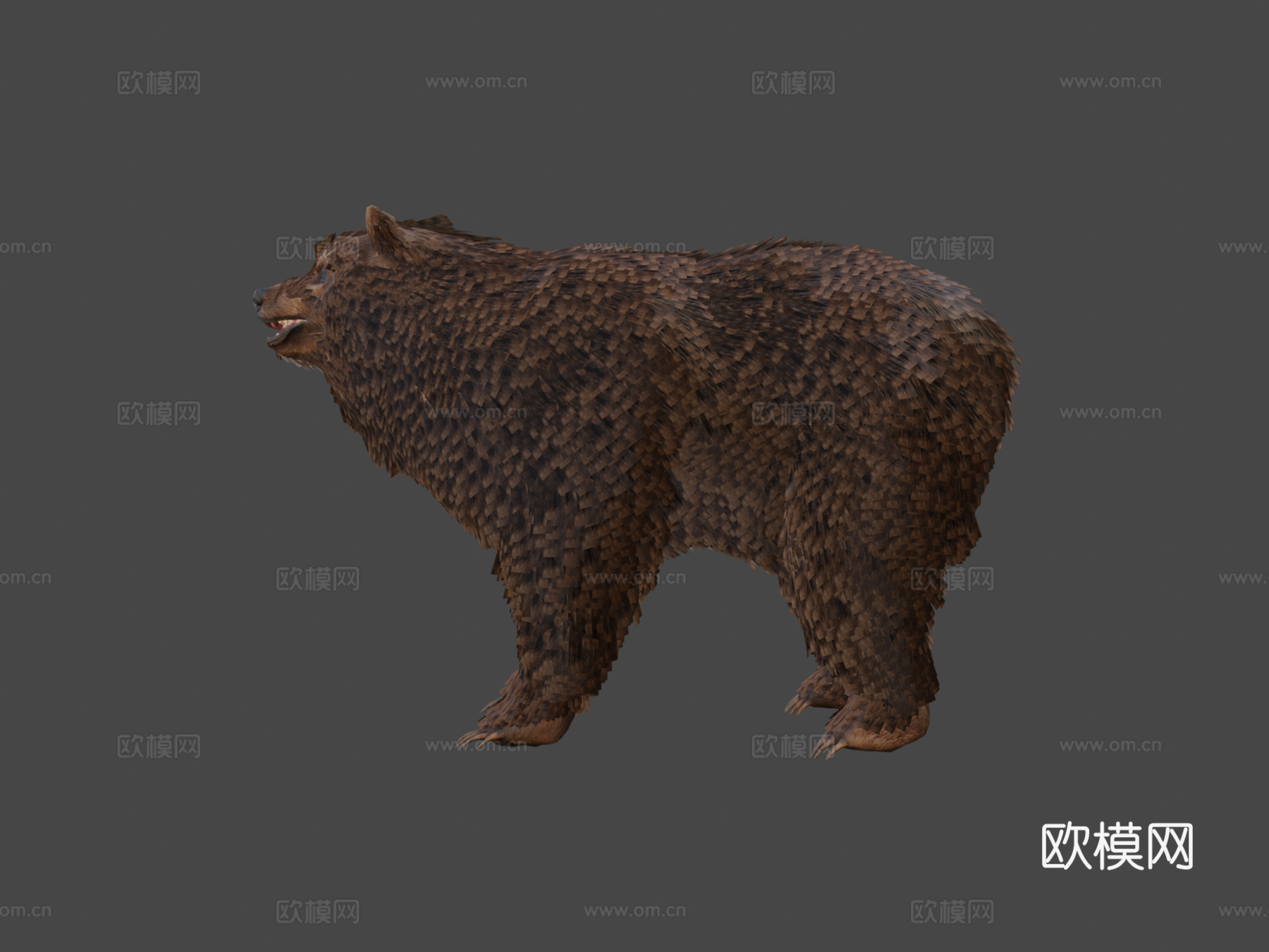 毛绒熊3d模型