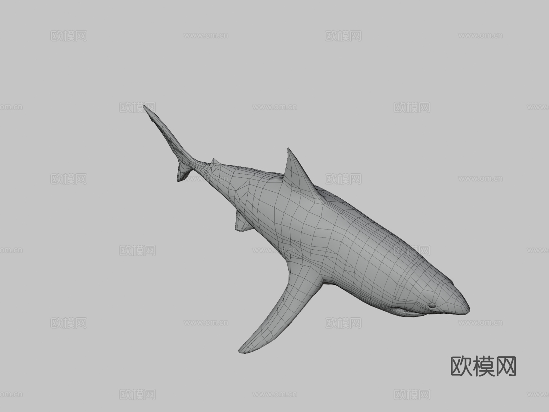 大白鲨3d模型