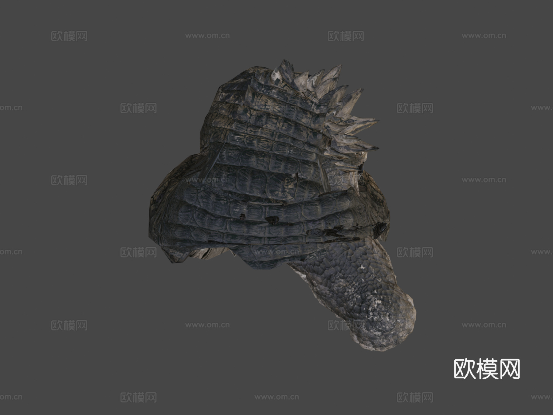 咸水鳄3d模型