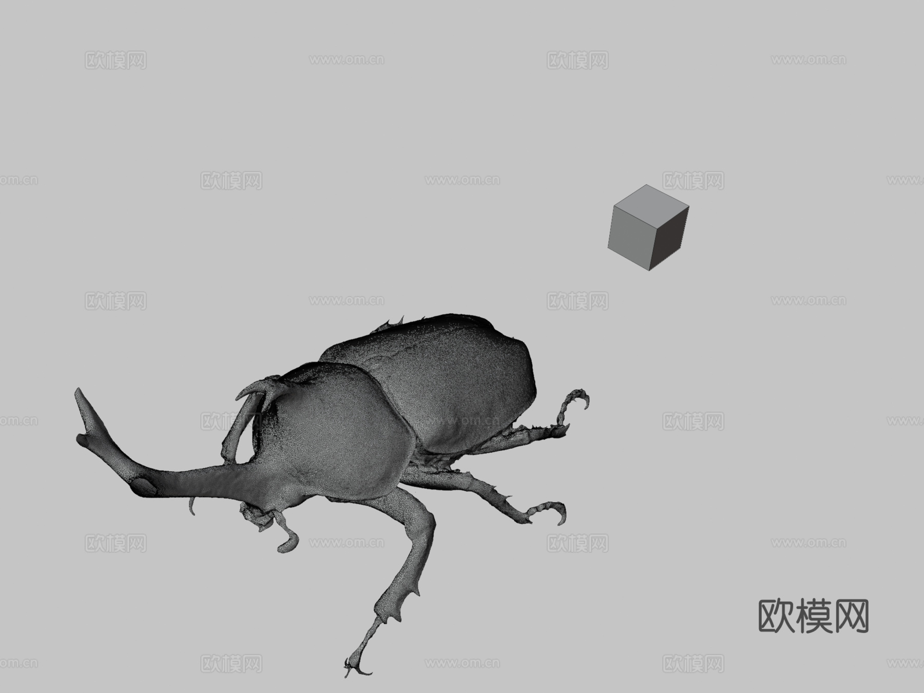独角仙♂74毫米犀牛甲虫双叉犀金龟3d模型