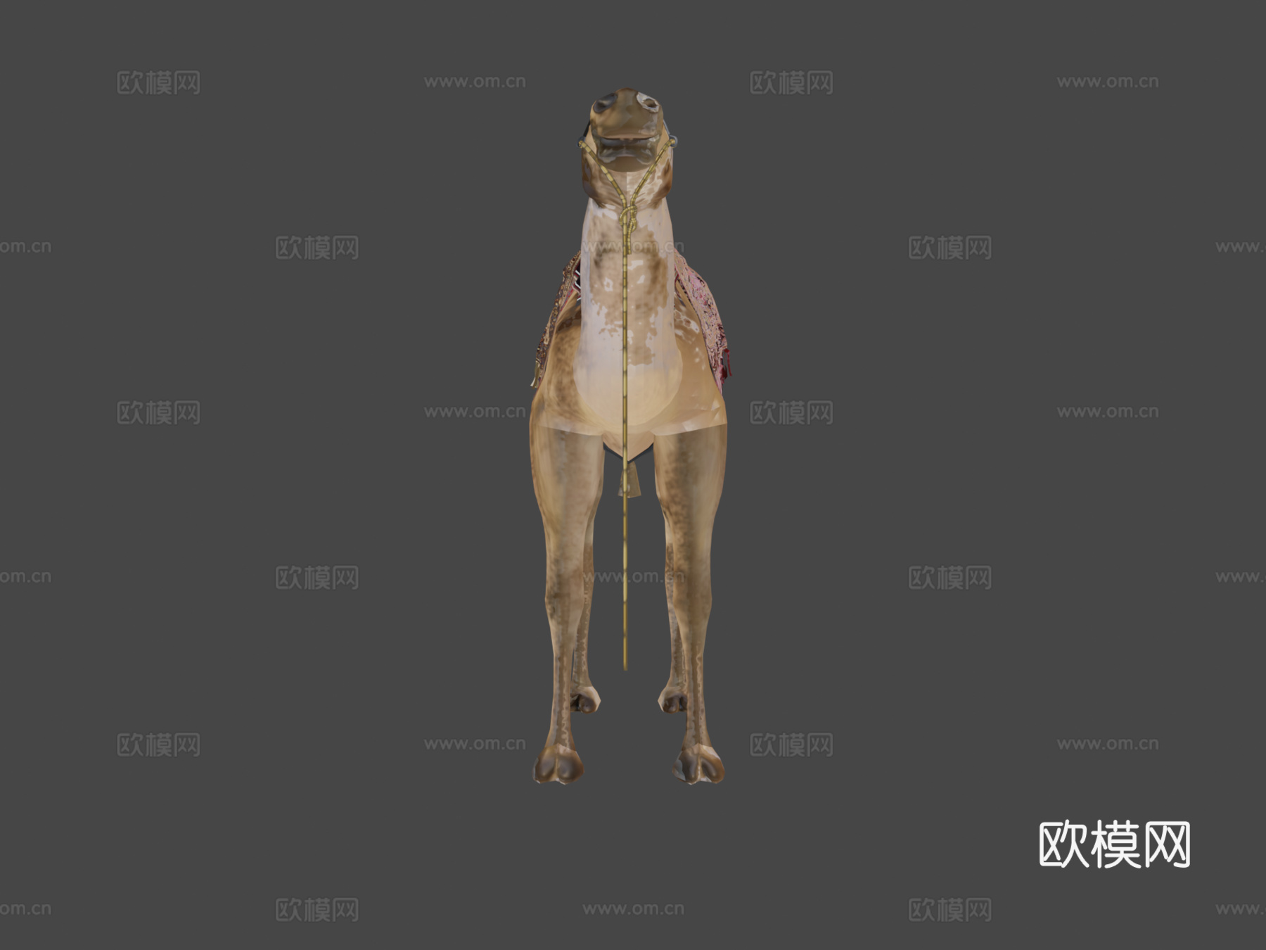 骆驼3d模型