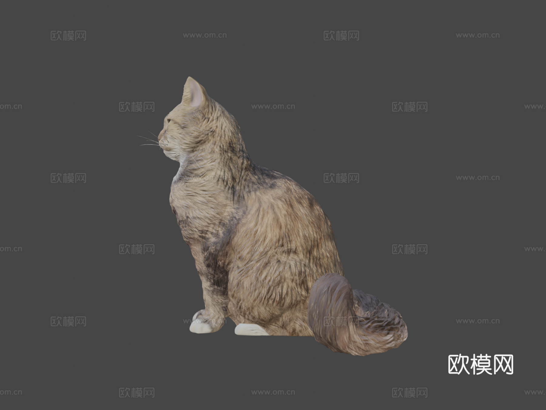 蓬松猫153d模型