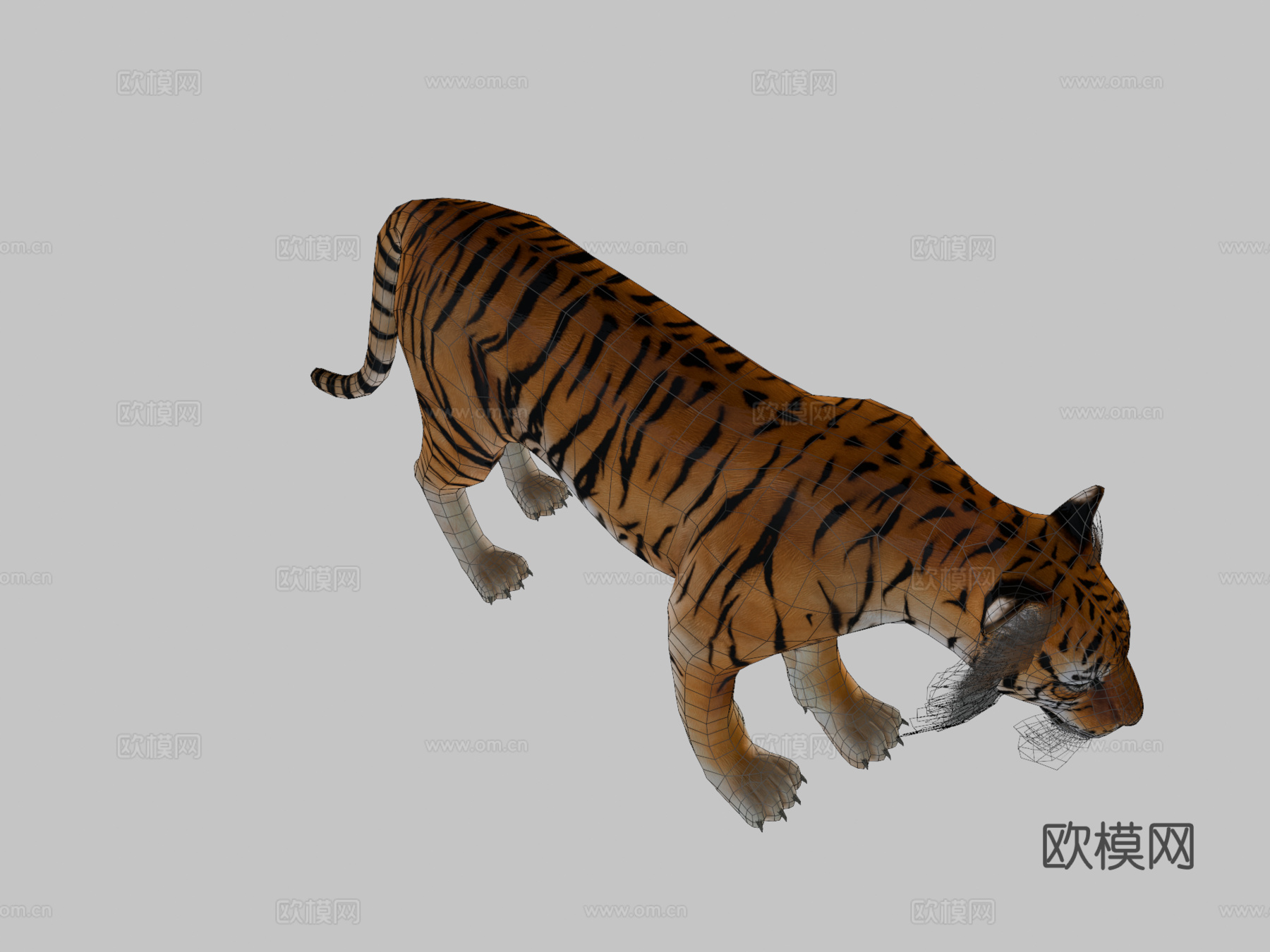 老虎3d模型