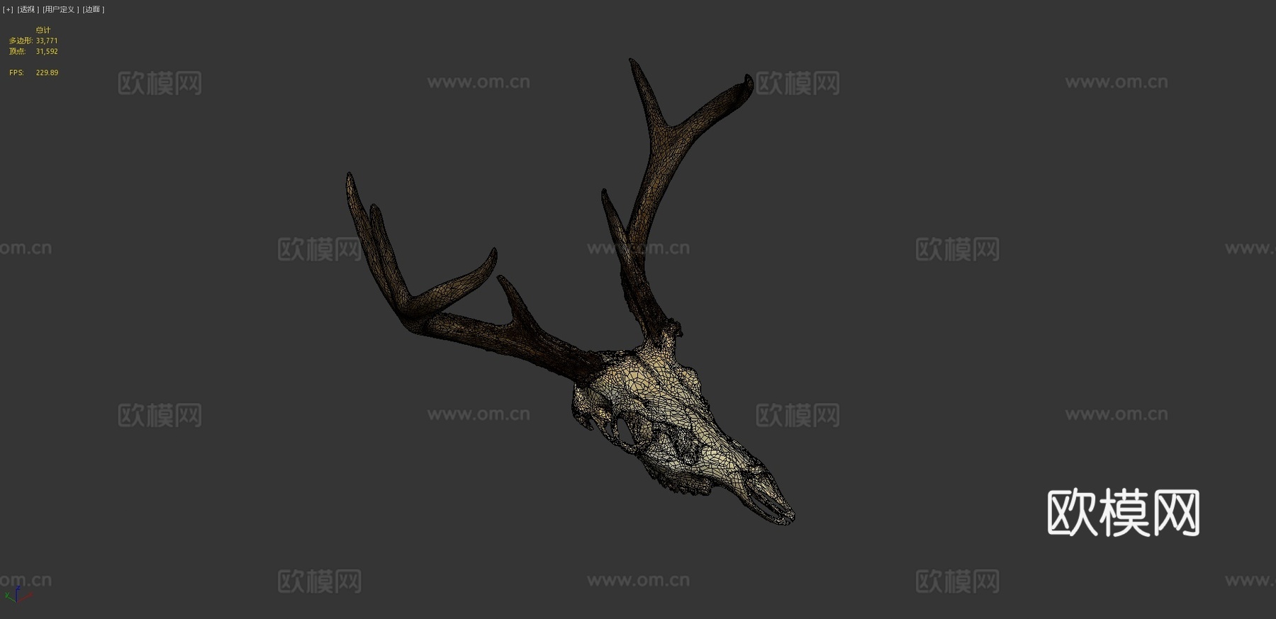 CD_鹿头骨扫描3d模型