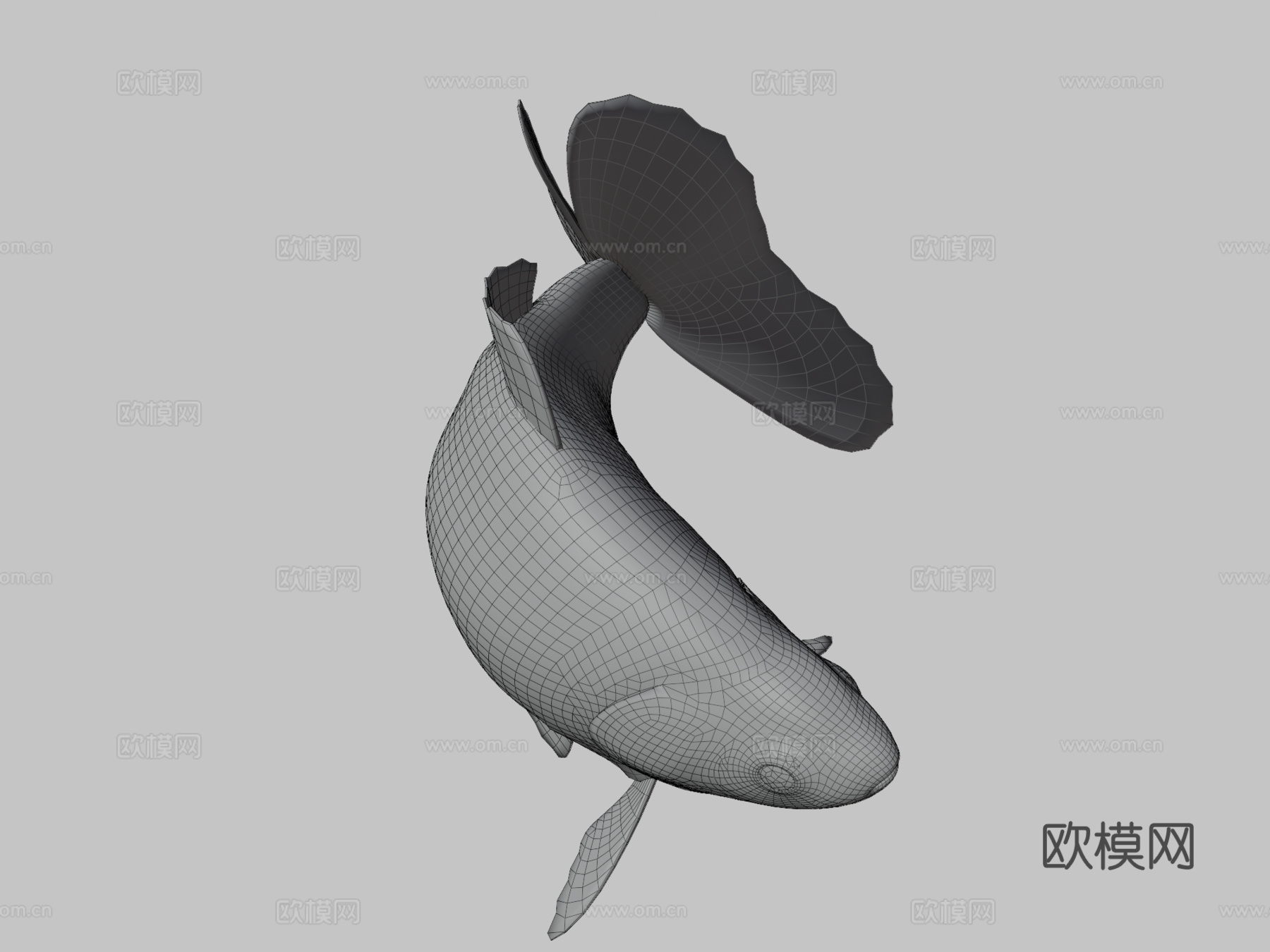 地金金鱼3d模型