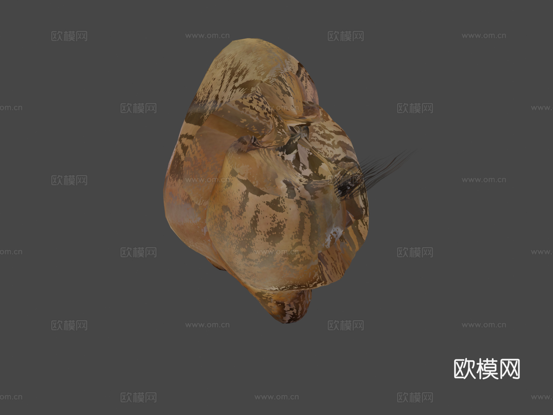 骆驼动画3d模型