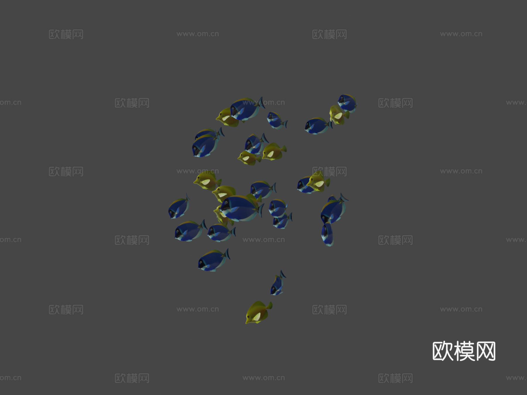 群游鱼蓝黄刺尾鱼3d模型