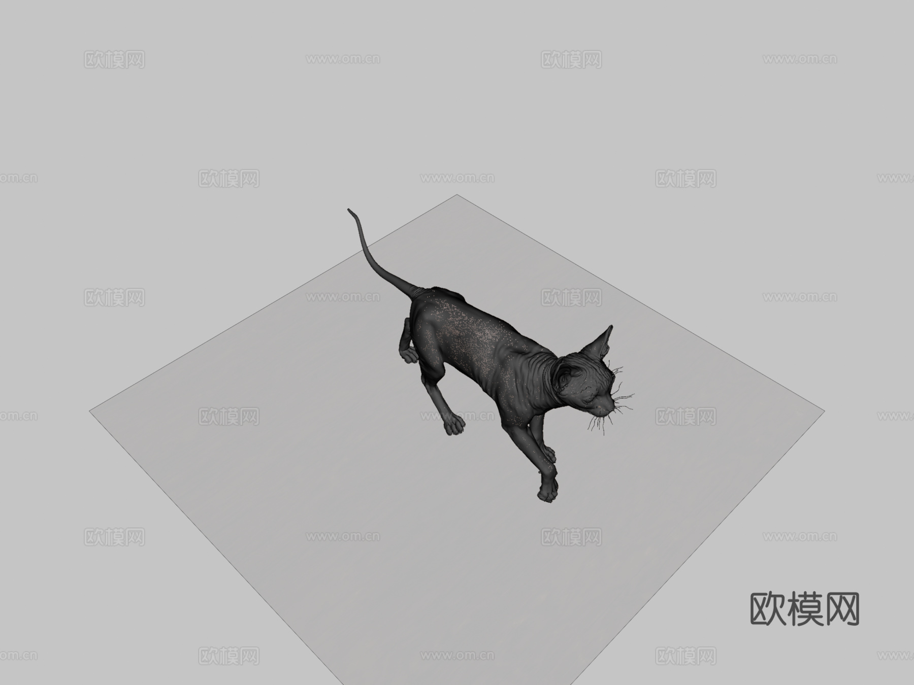 斯芬克斯无毛猫3d模型