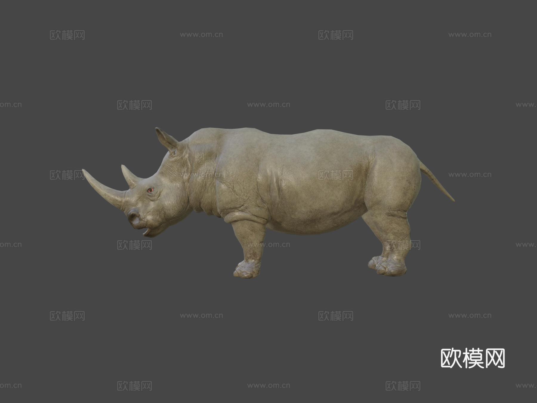 犀牛动画集3d模型
