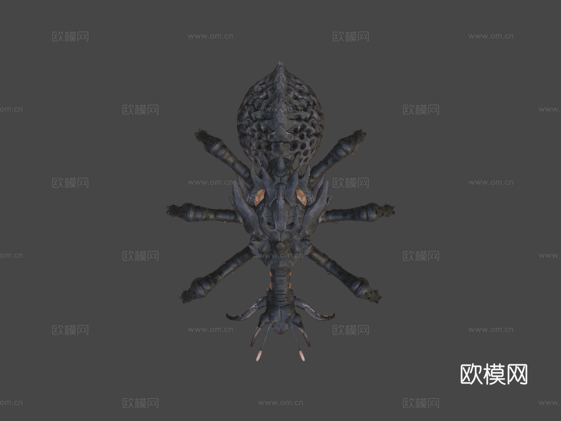 英格纳尔维斯动画3d模型