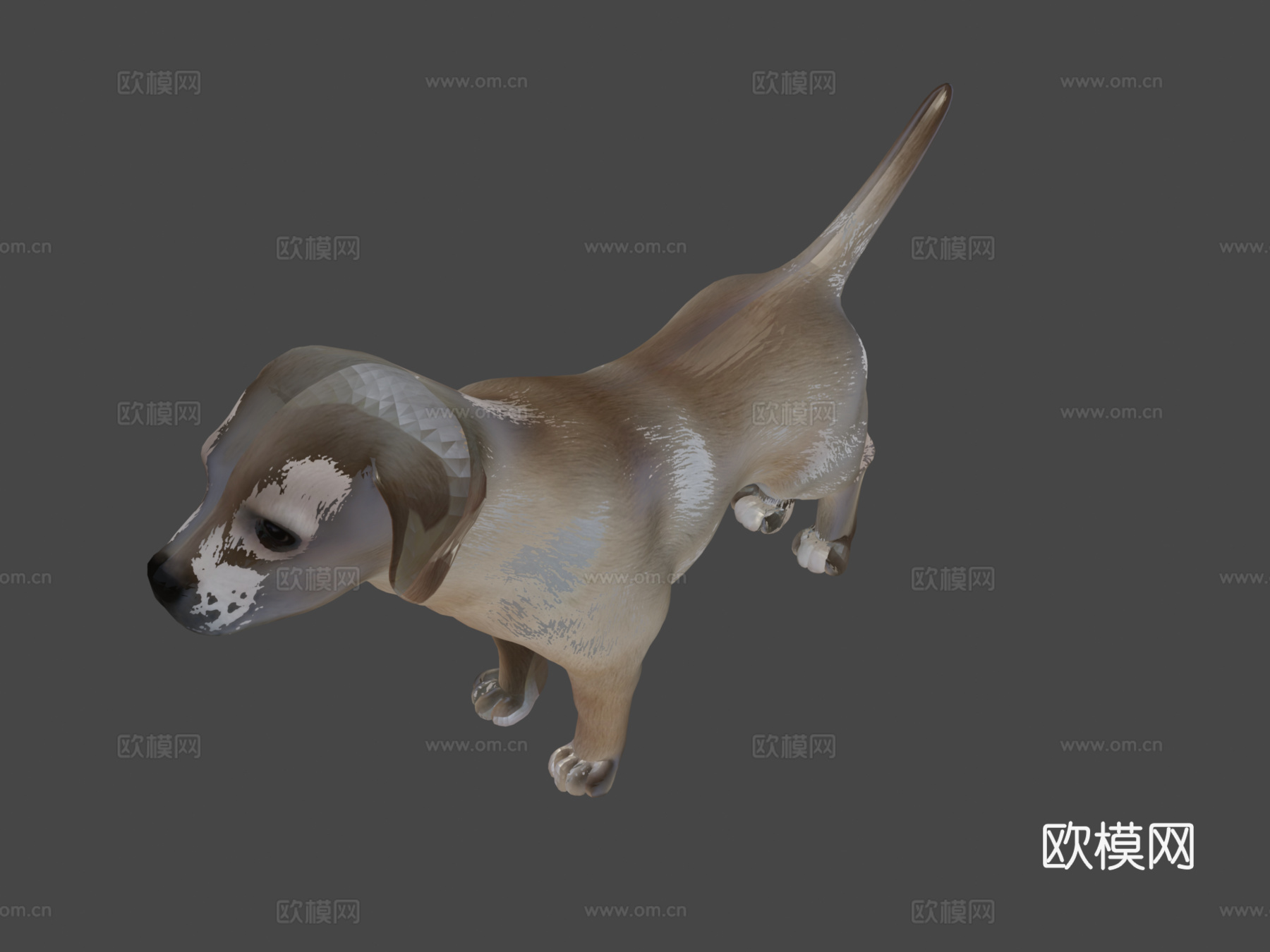 狗3d模型
