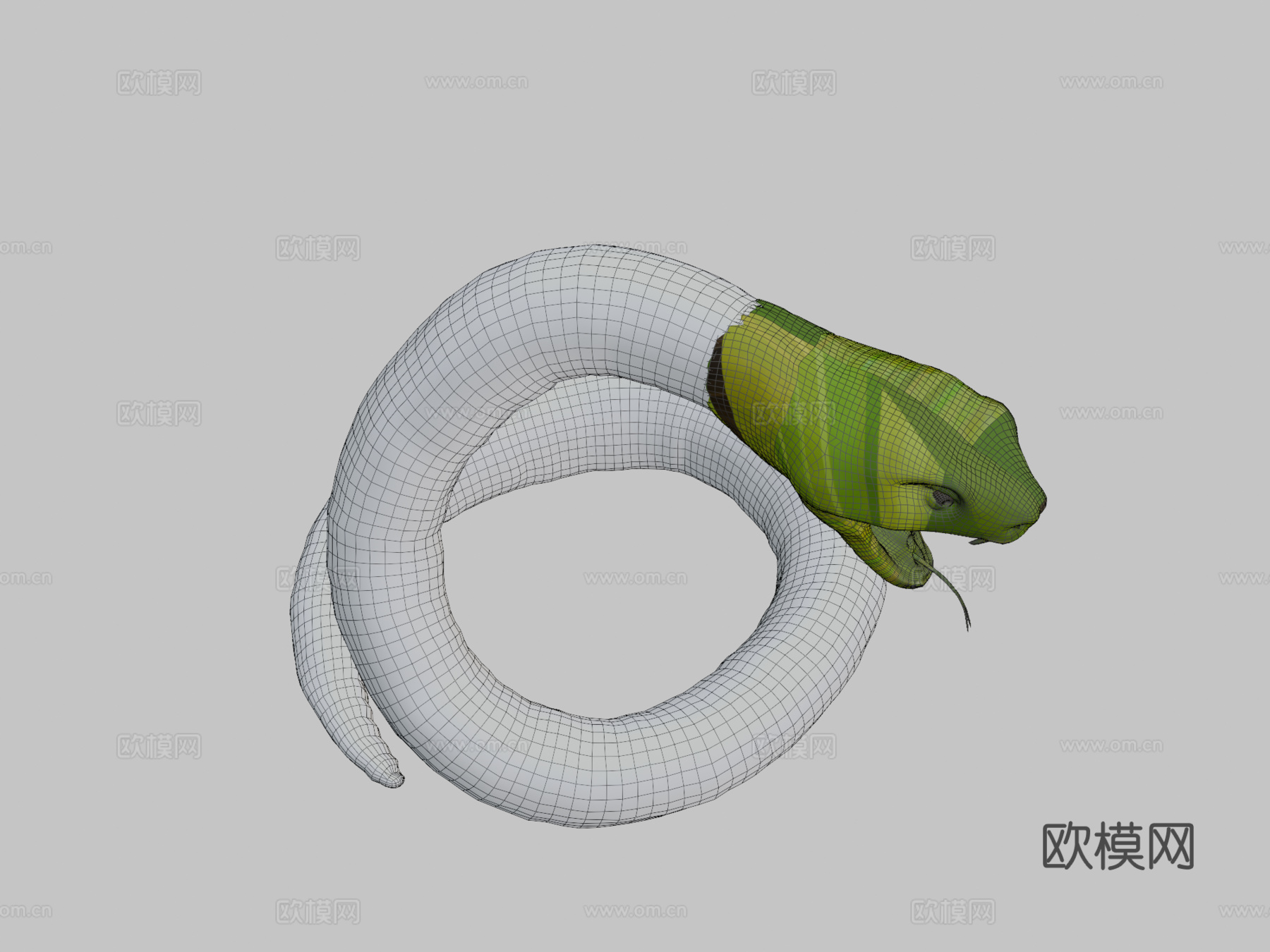 大型绿色攻击性蛇3d模型
