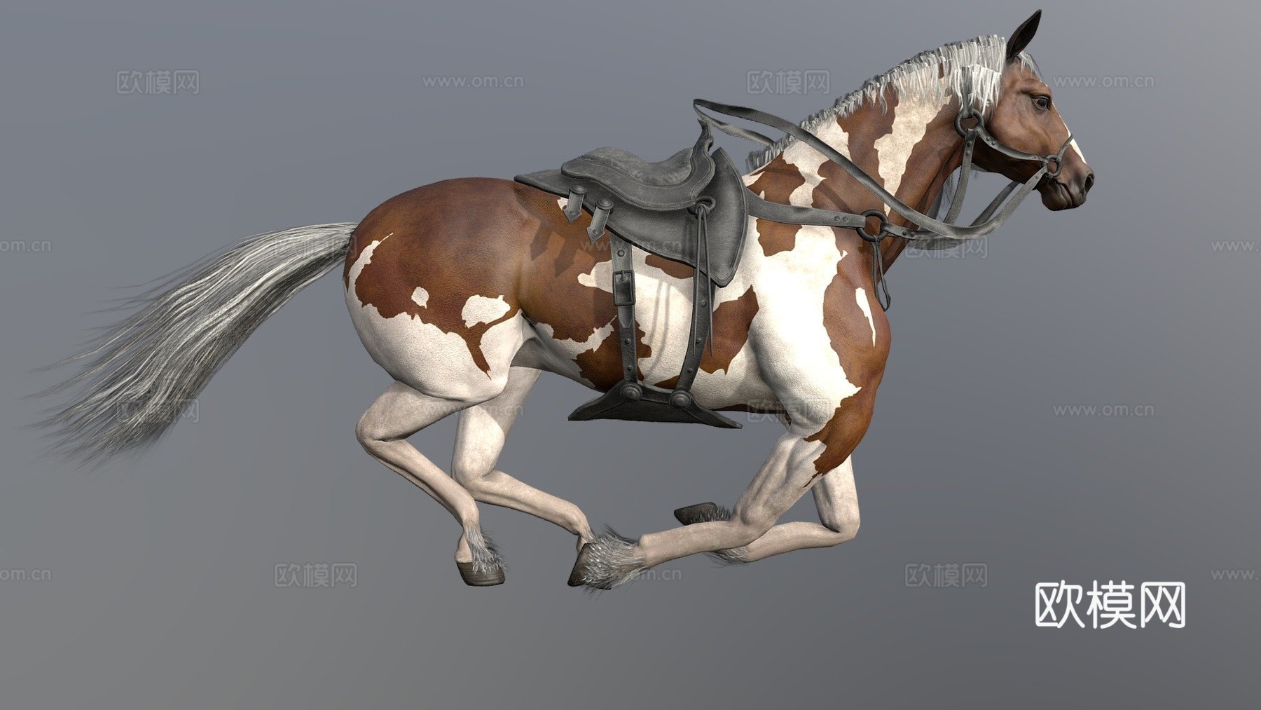 马奔跑循环3d模型