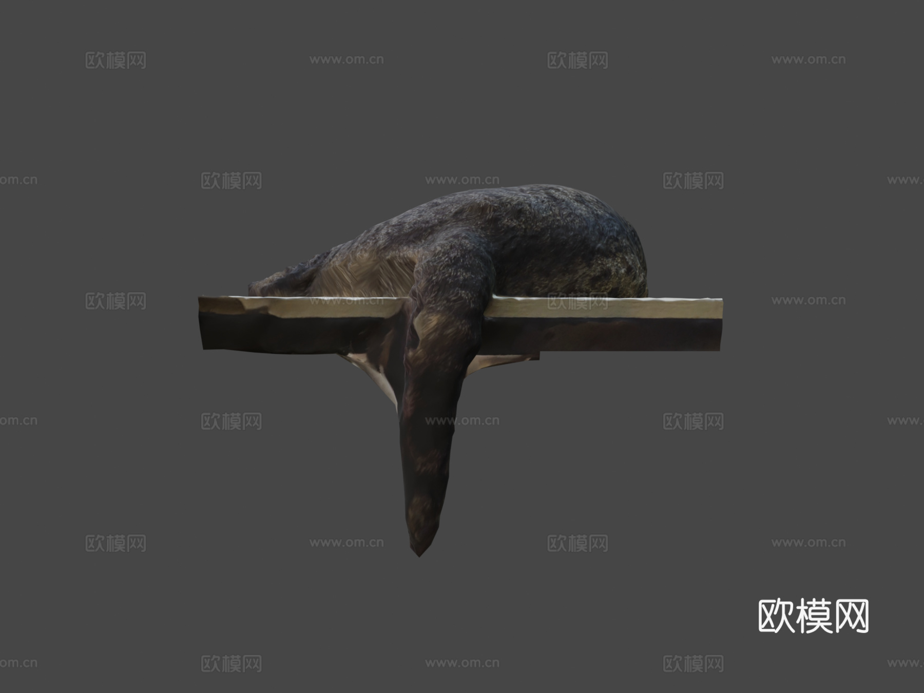 桌上睡猫-3D扫描3d模型