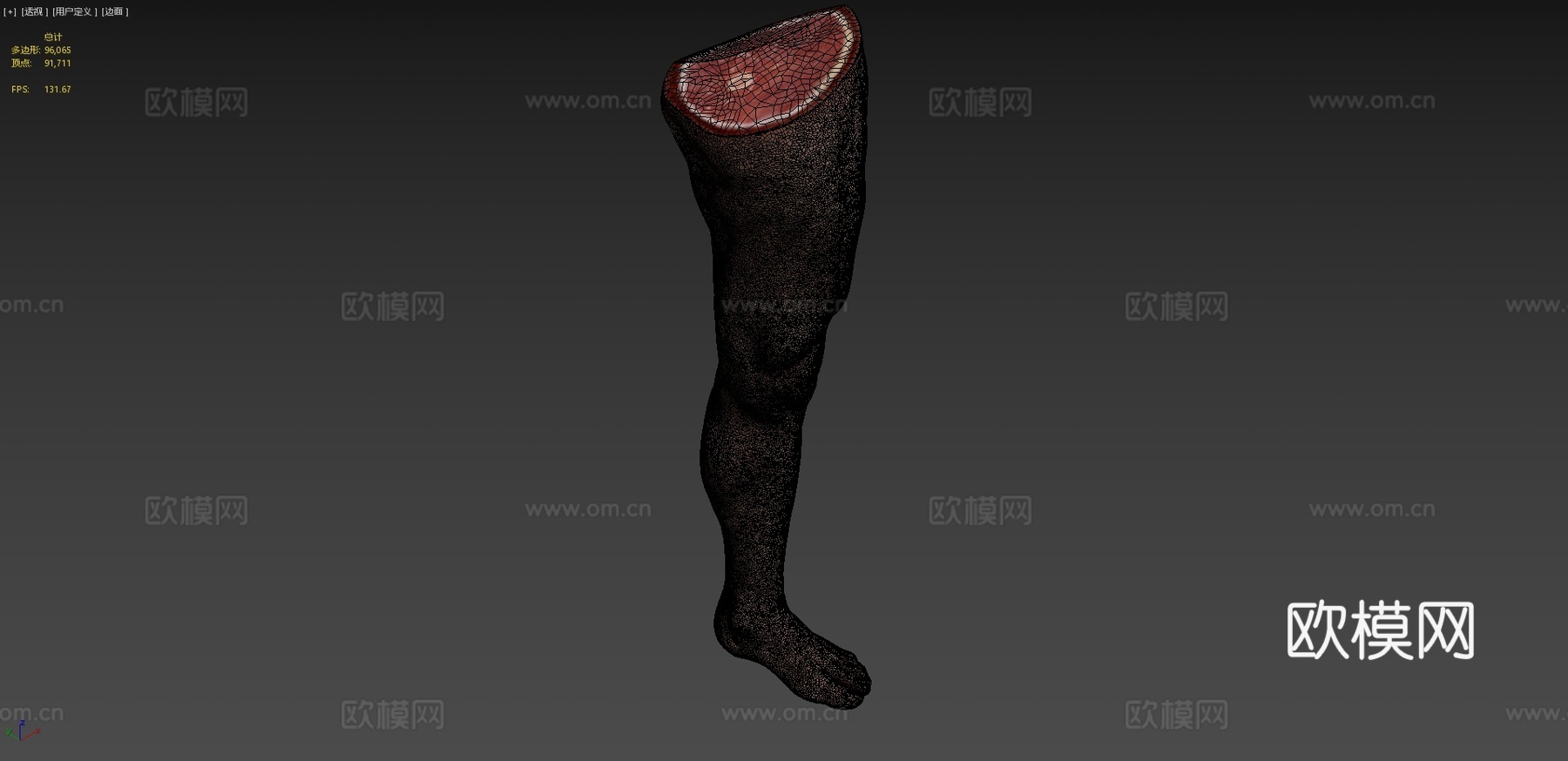 腿3d模型