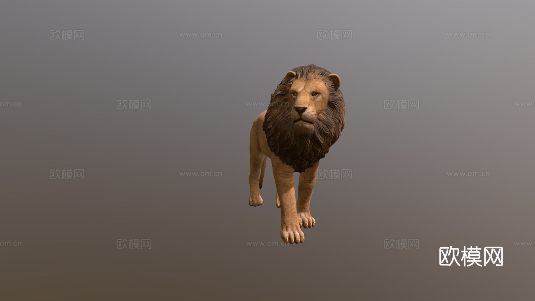 狮子3d模型