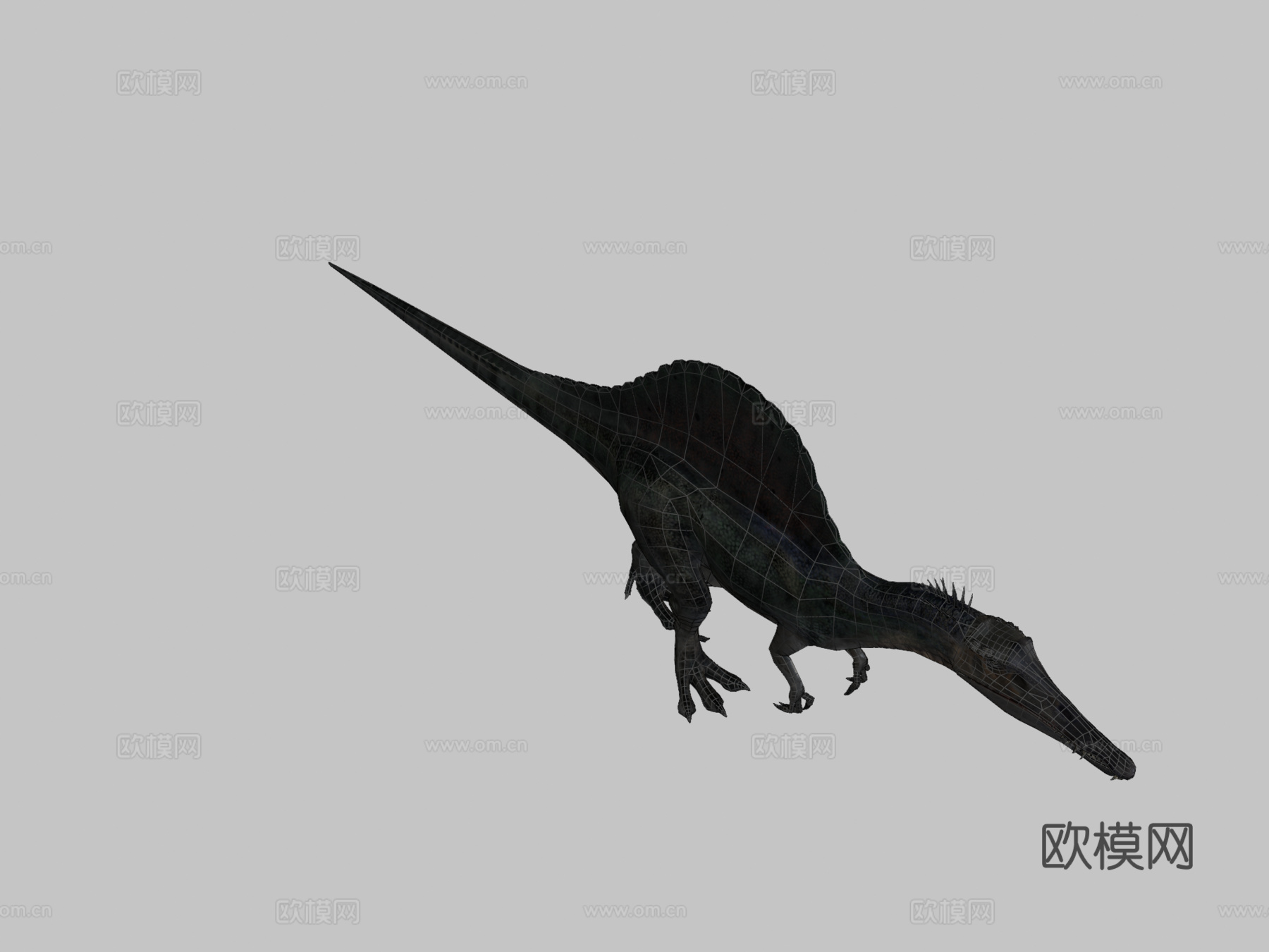 棘龙低多边形3d模型
