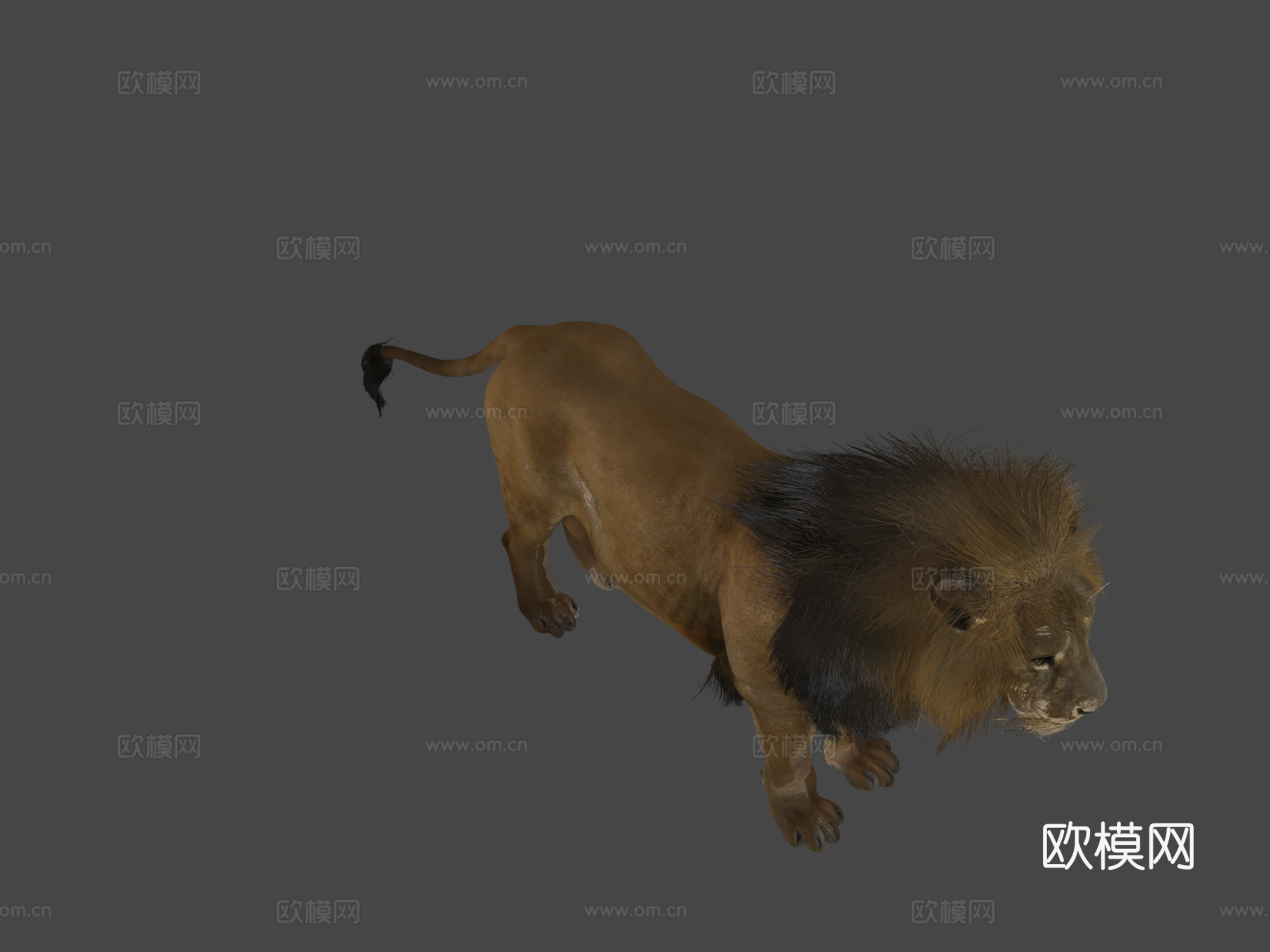 雄狮3d模型