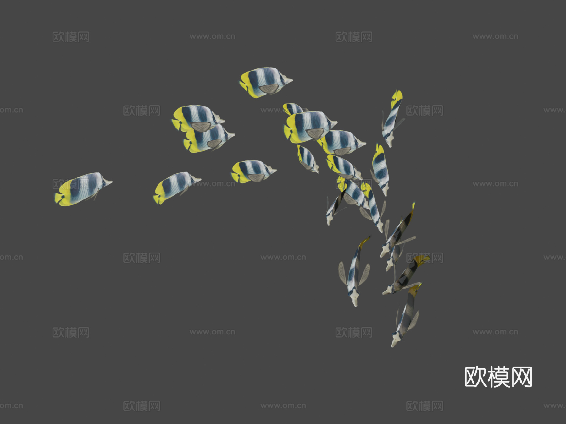 群游双鞍鱼3d模型