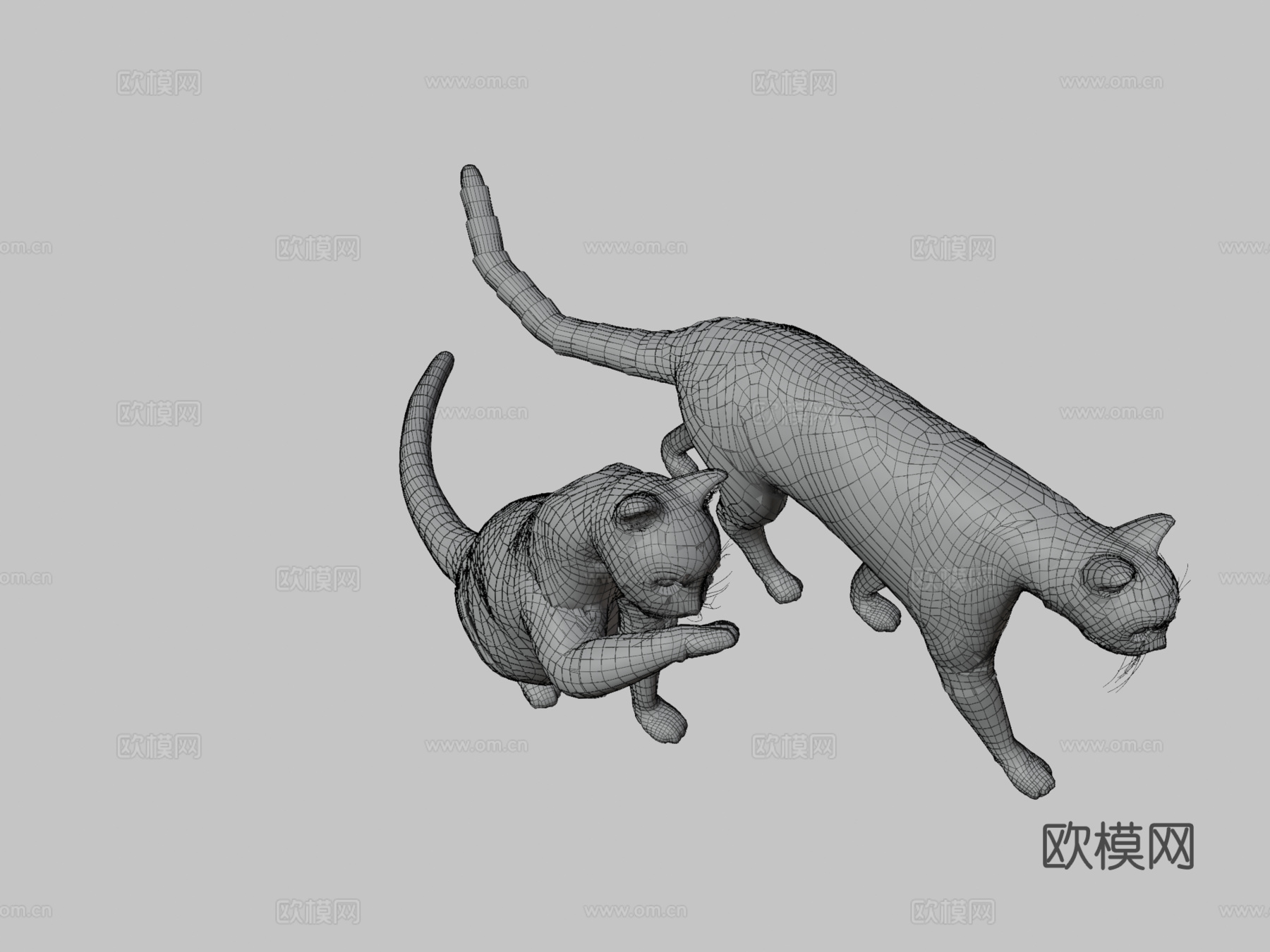 名叫玛吉的猫3d模型
