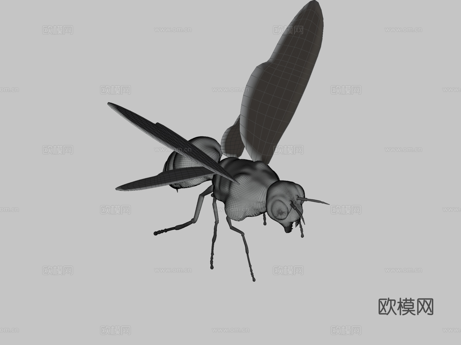 飞黄蜂3d模型