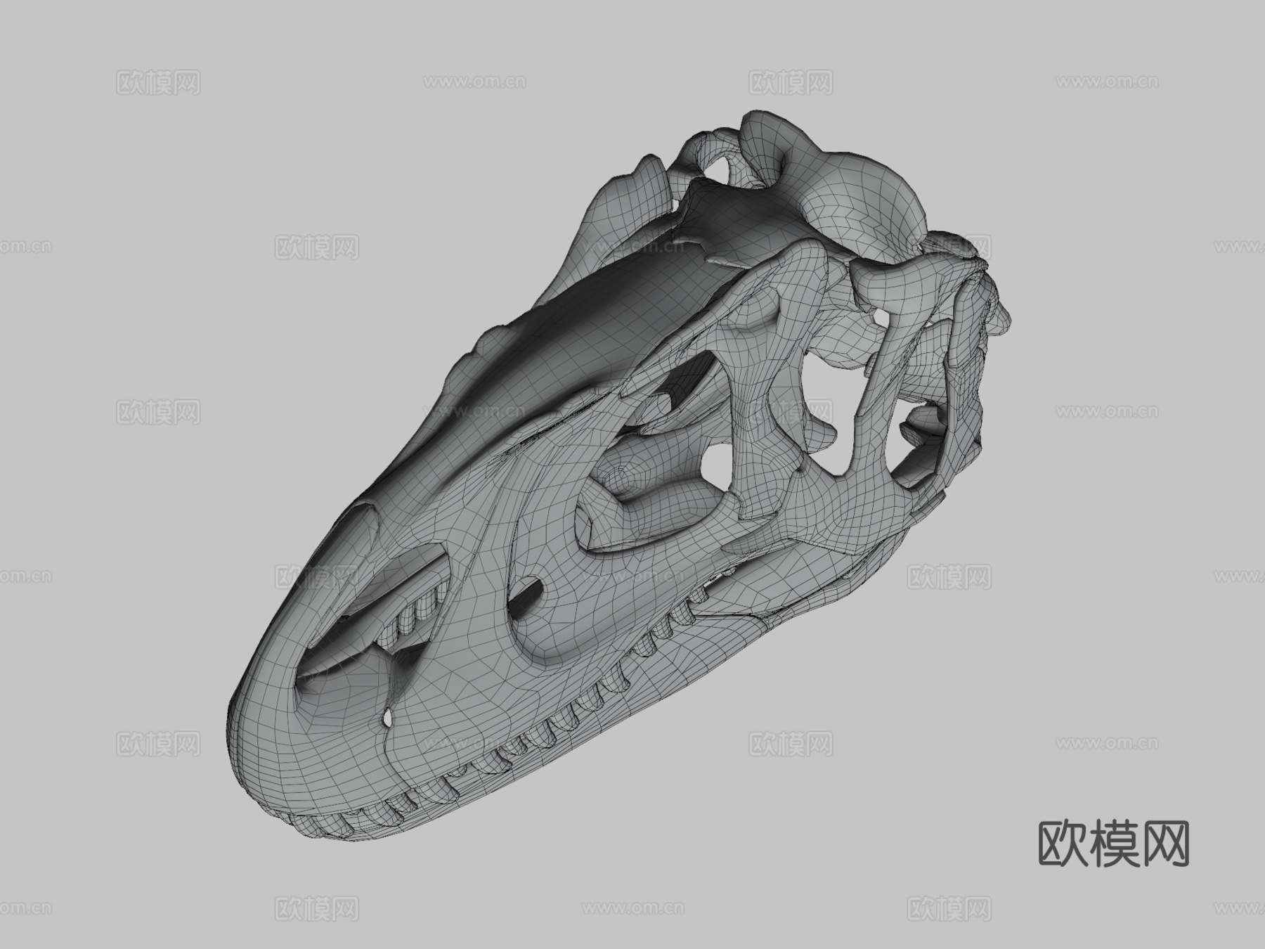 异特龙头骨3d模型