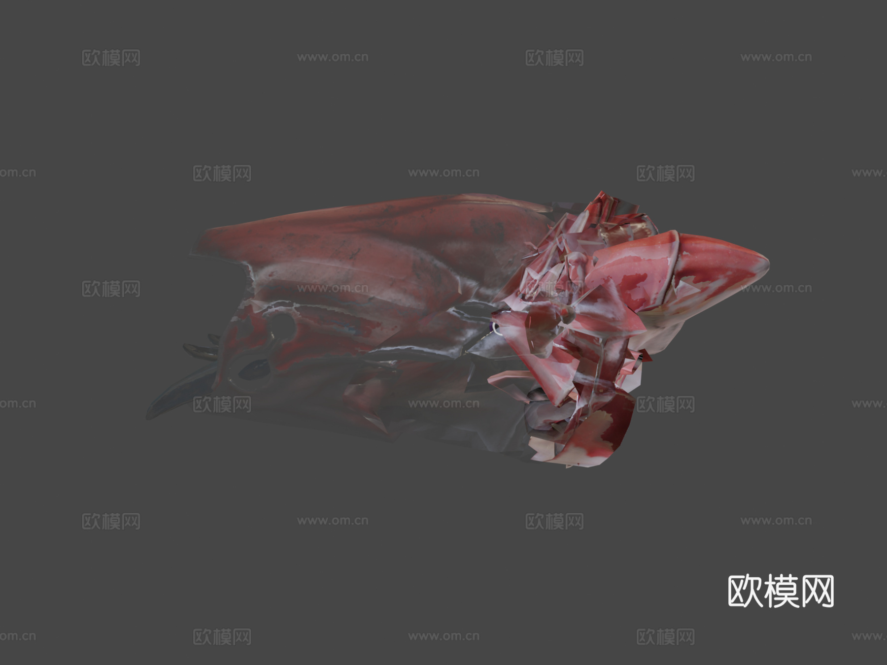 螯肢动物3d模型