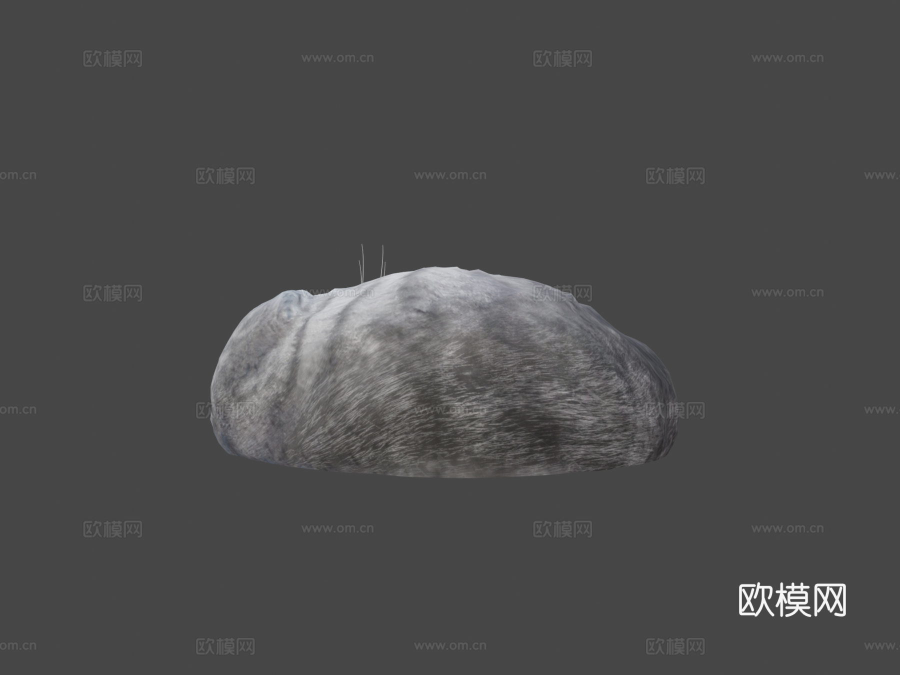 睡猫3d模型
